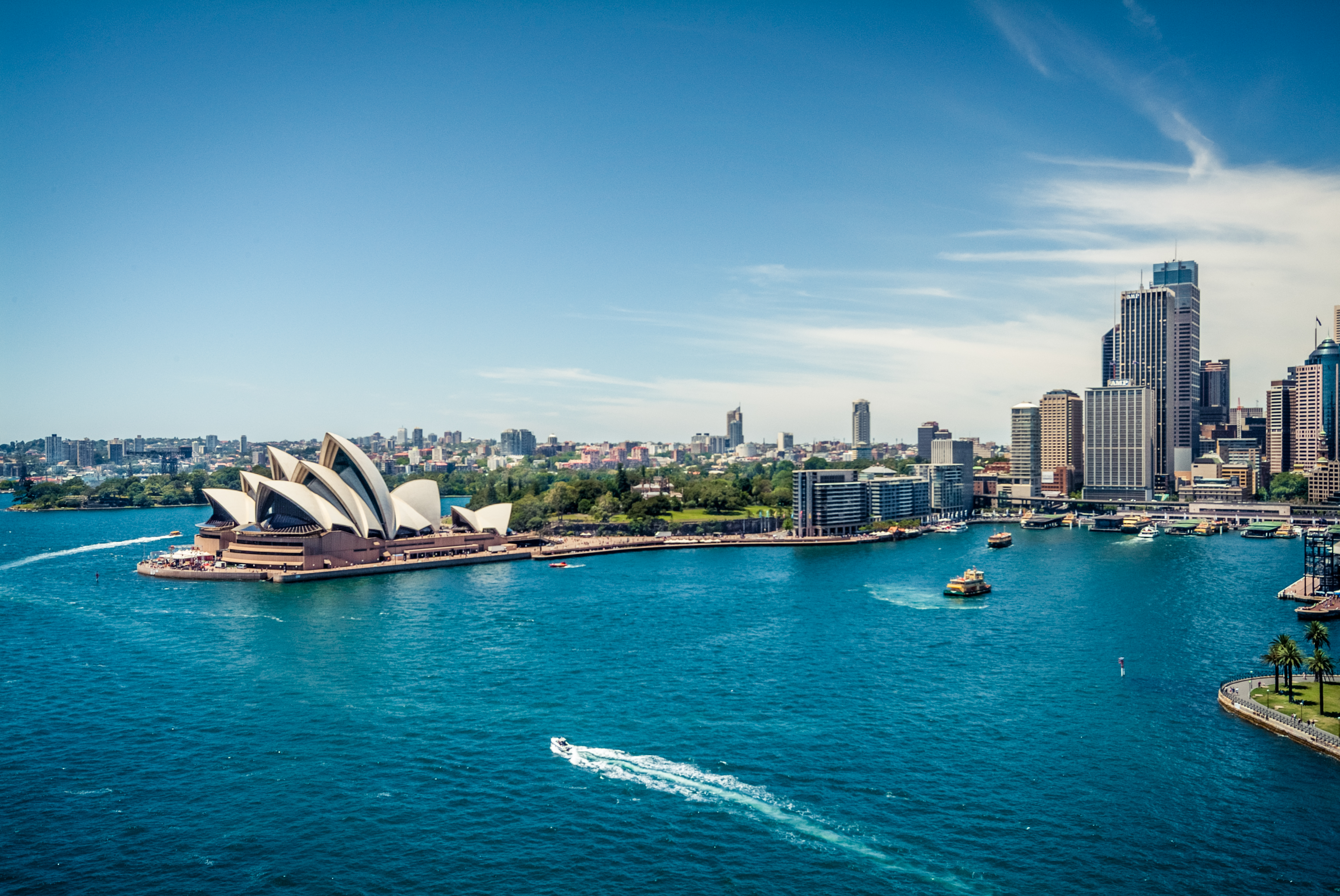 aerial view of Sydney harbour