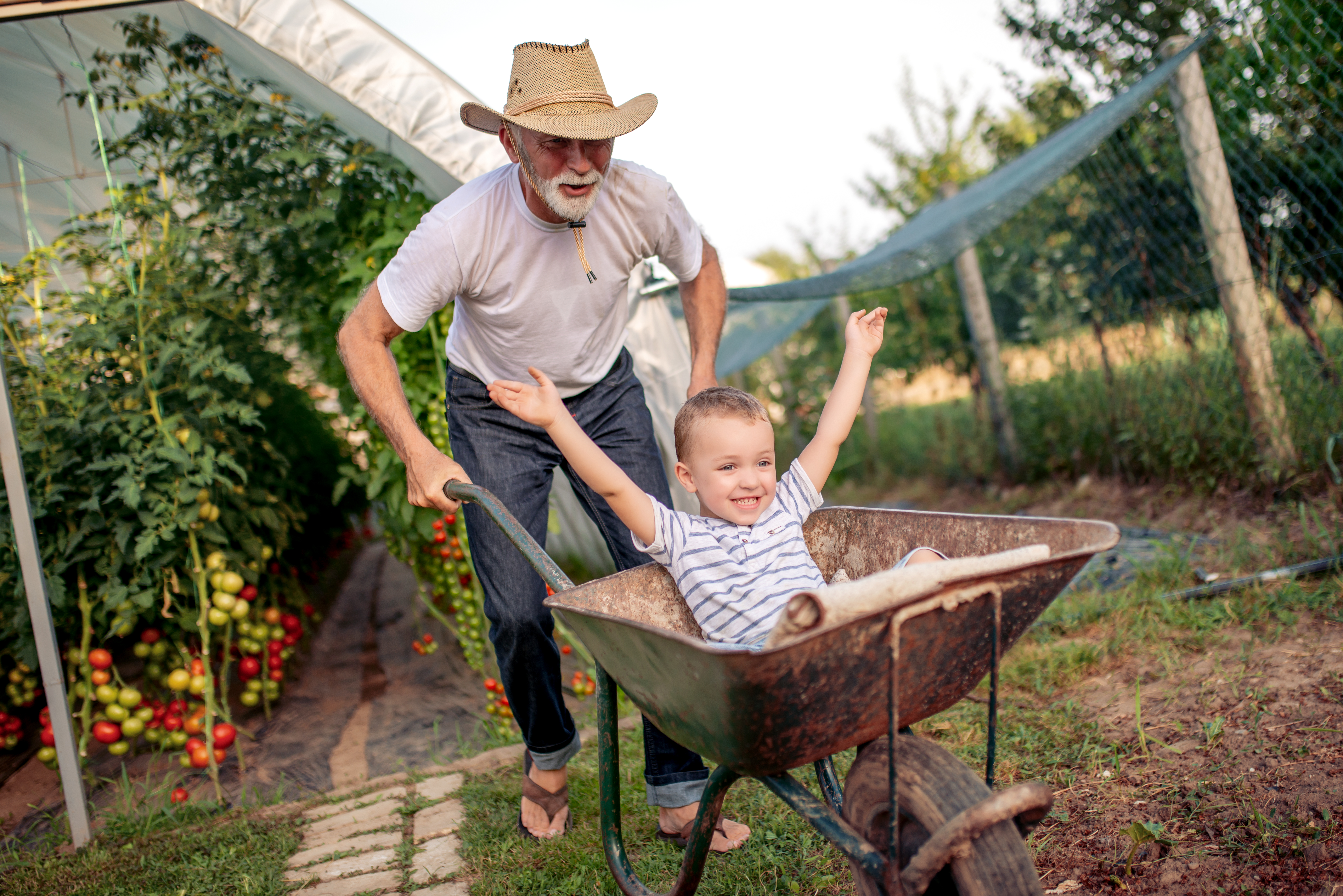 Older man pushing a boy in a wheelbarrow