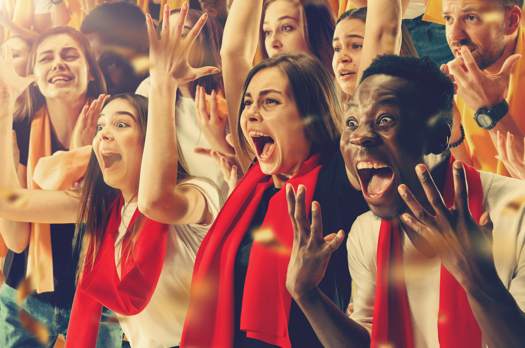 Sports fans cheering their team