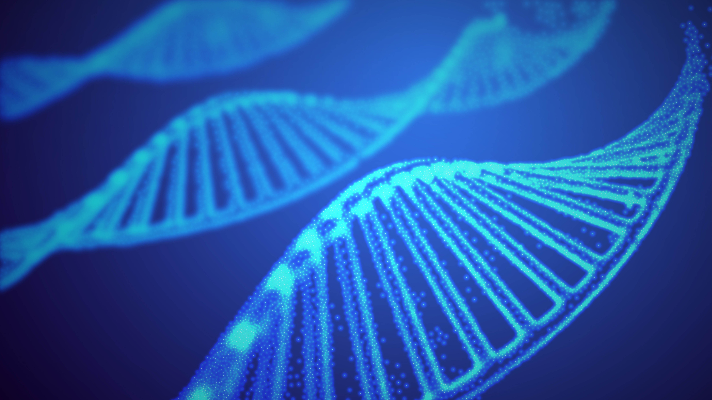 3 strands of DNA.