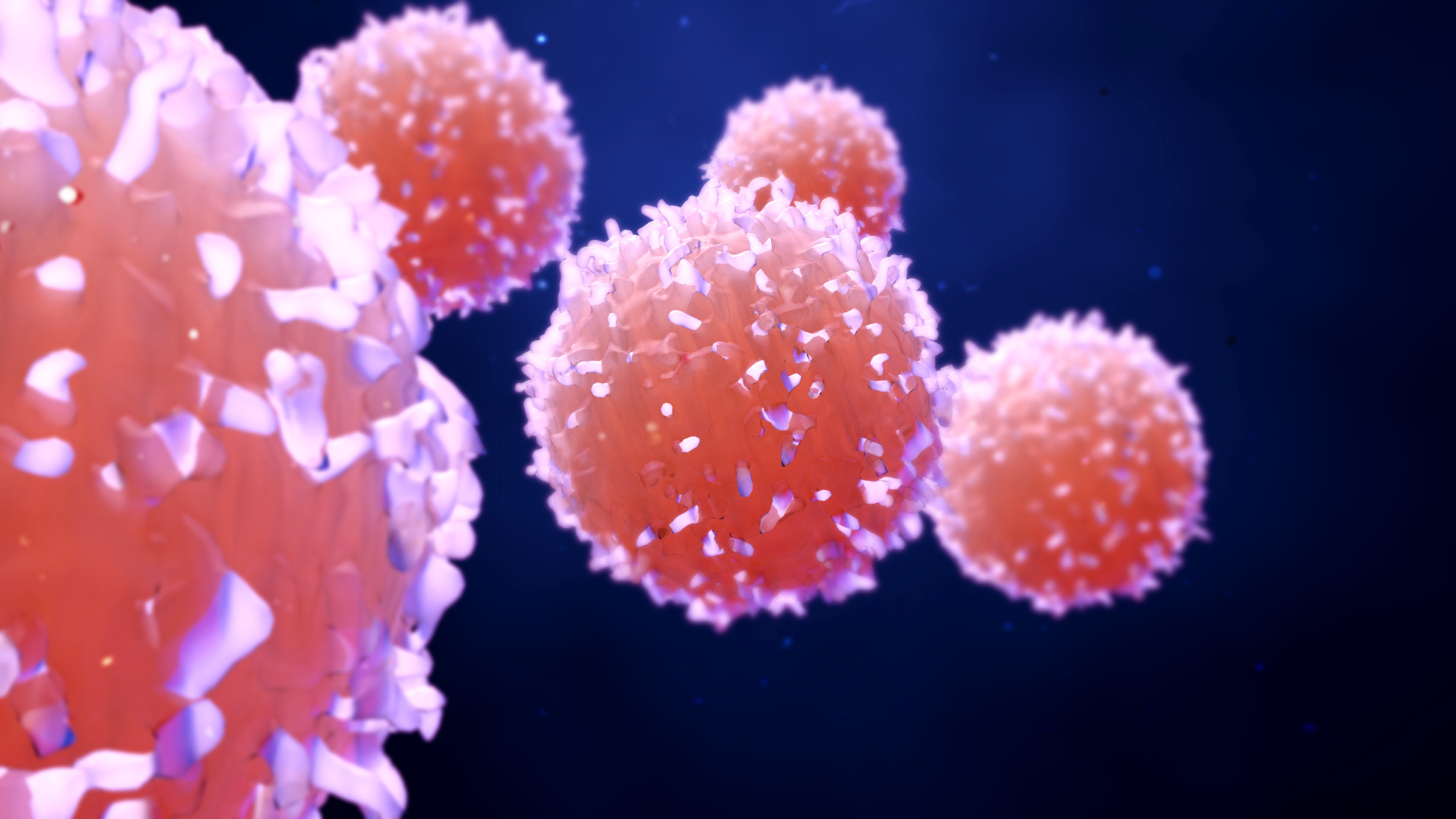 An artist's rendering of cancer cells splitting