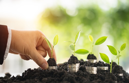 A hand plants stacks of coins with green shoots emerging from them