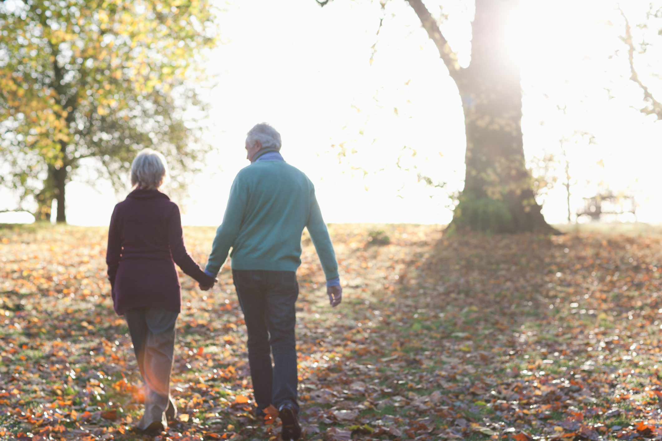 Older man and woman with their backs turned holding hands outdoors