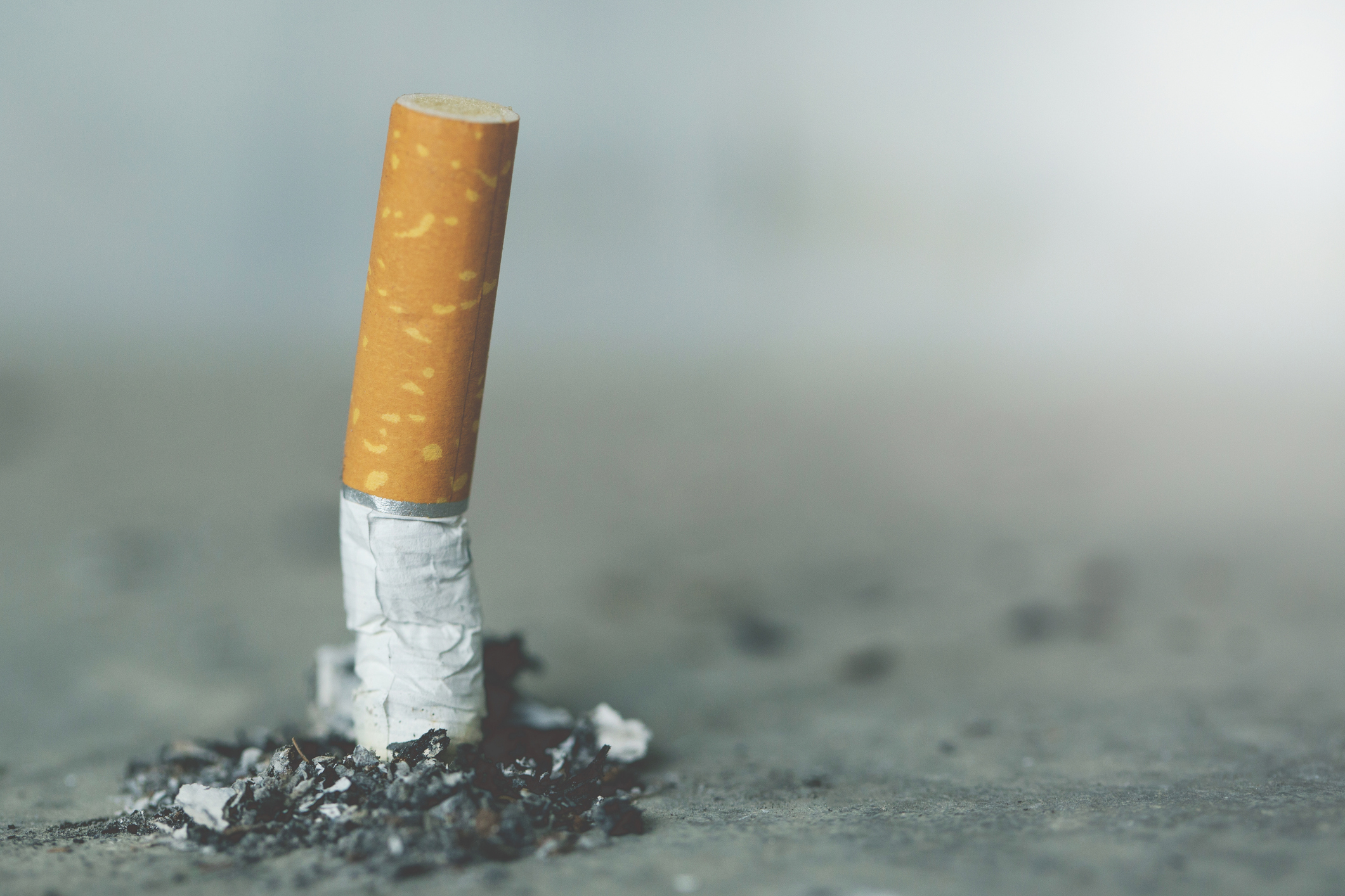 Stubbed out cigarette butt