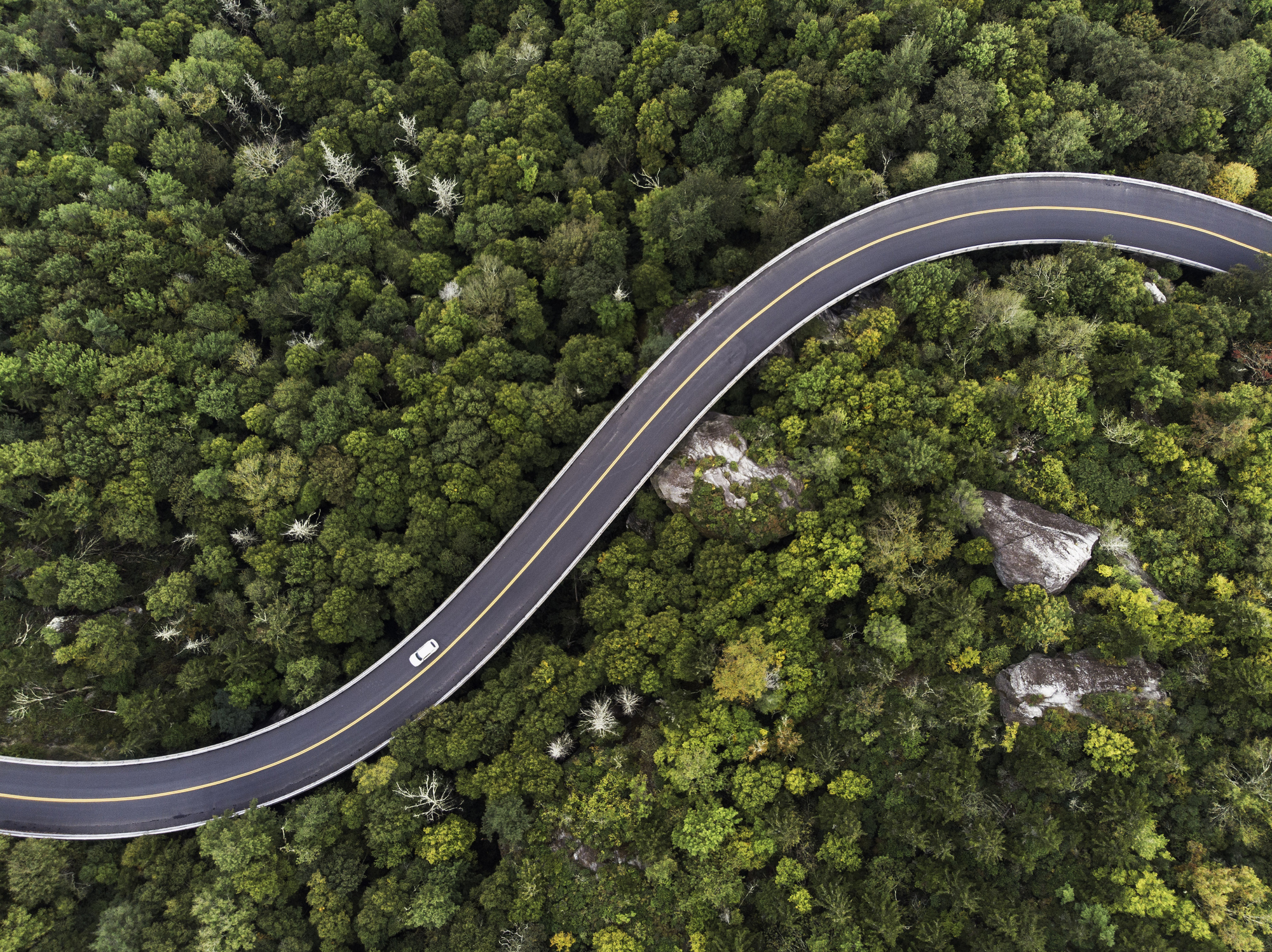 aerial view of a road winding through a forest