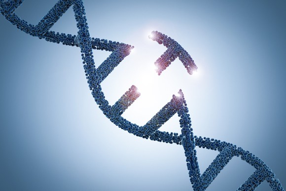 A DNA strand with a piece detached.