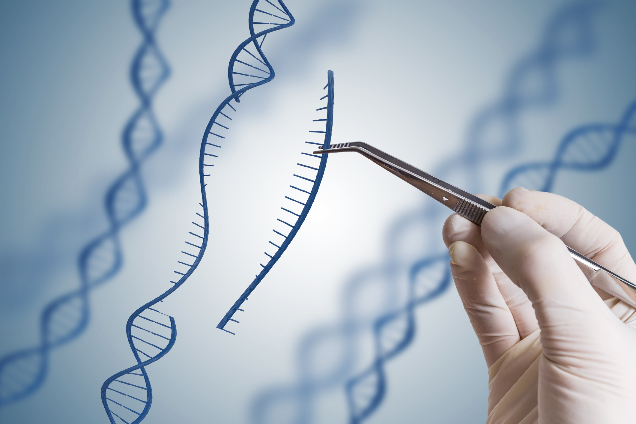 A strand of DNA getting a piece removed by a scientist.