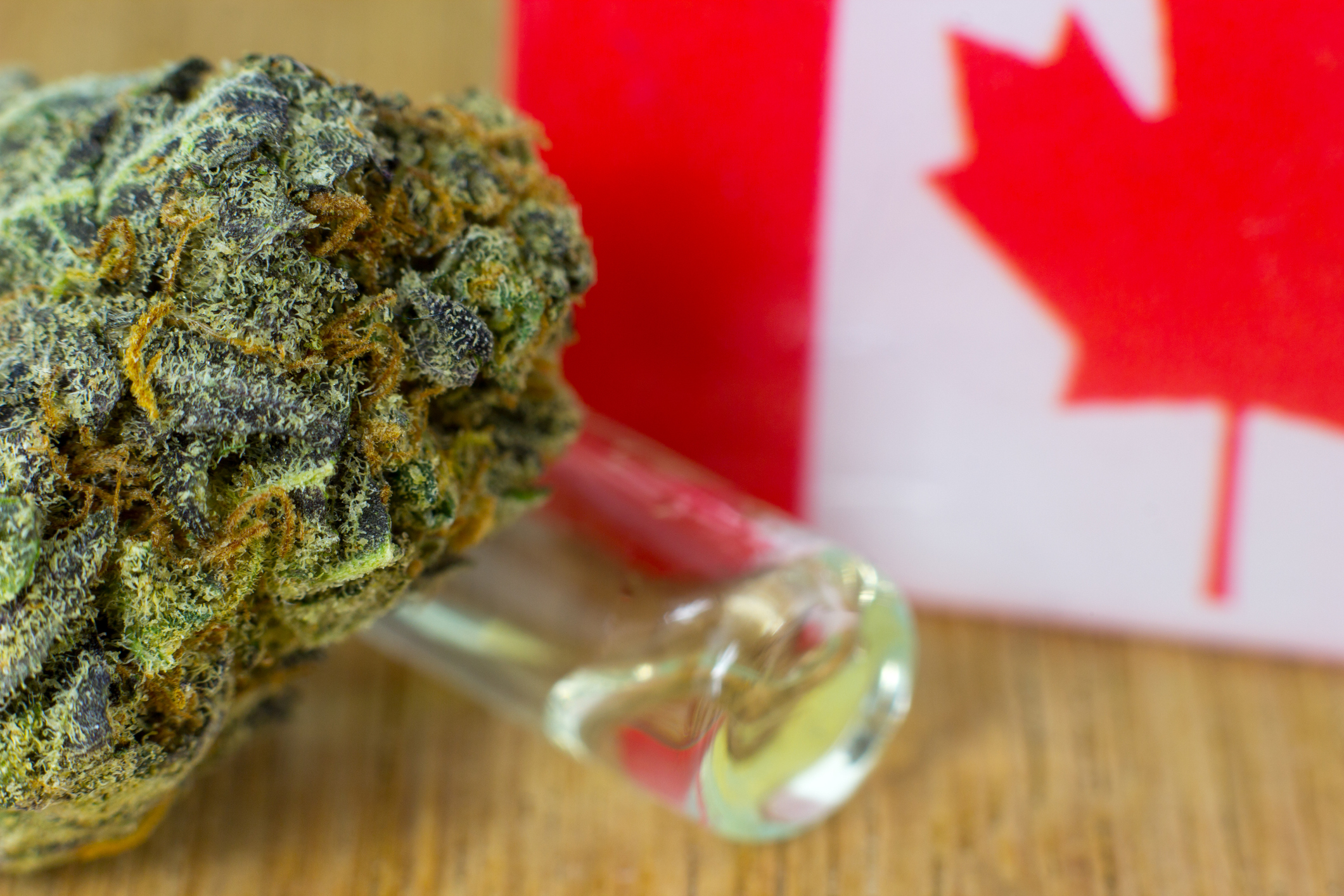 This Pot Stock Looks to Be the Only Clear Winner in Canada