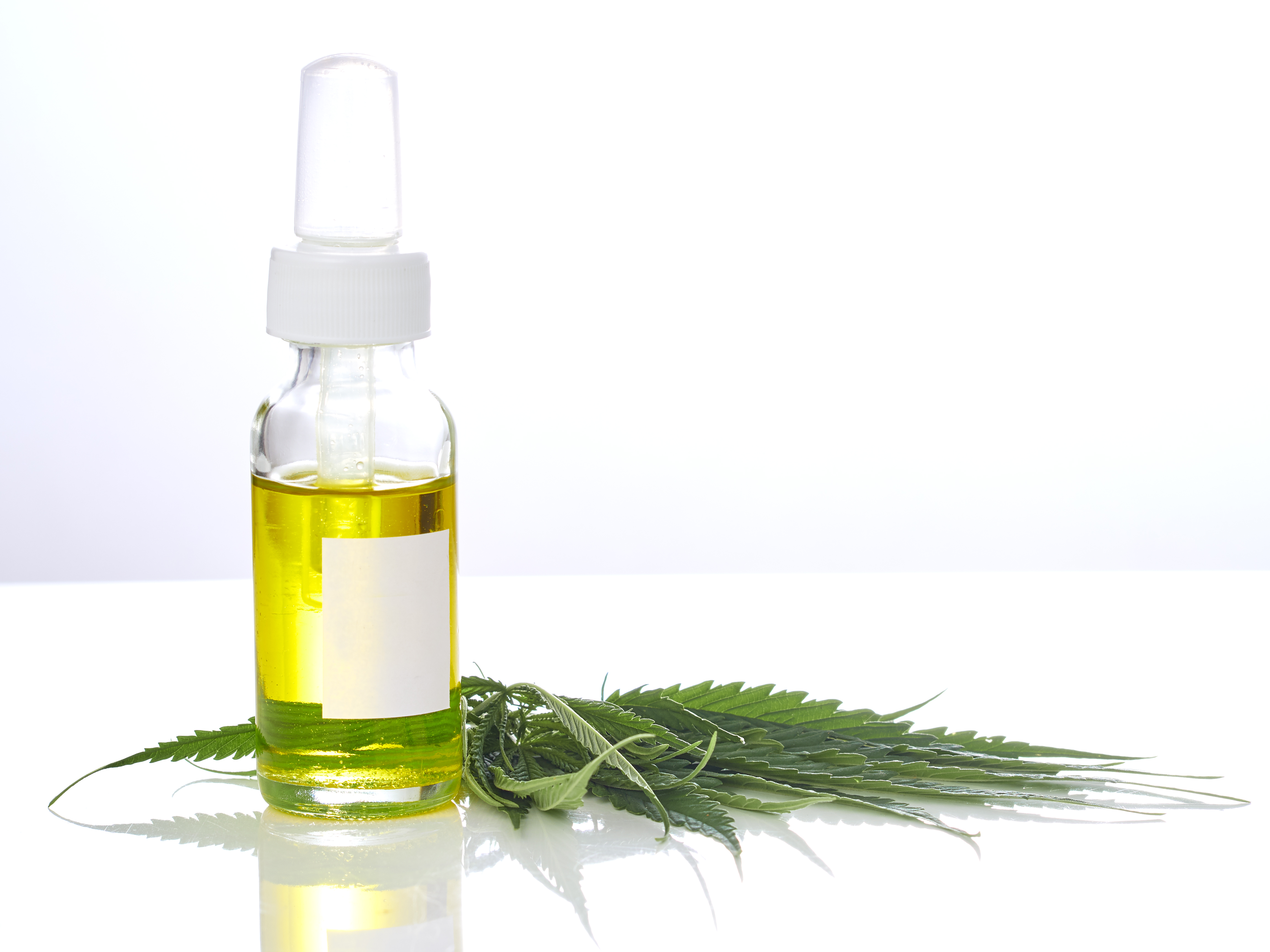 CBD oil in small glass bottle on top of cannabis leaves.