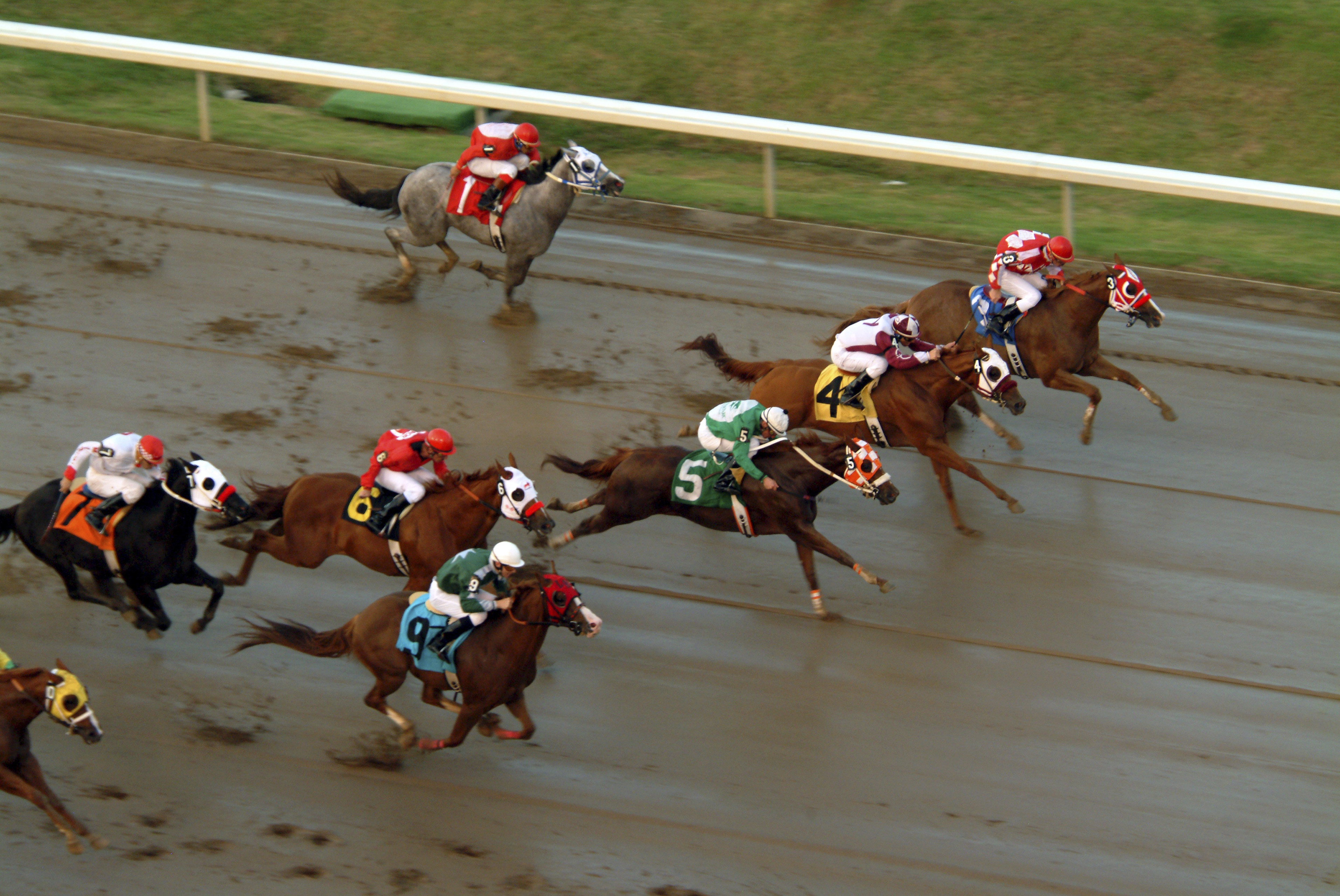 Horses racing along a muddy track.