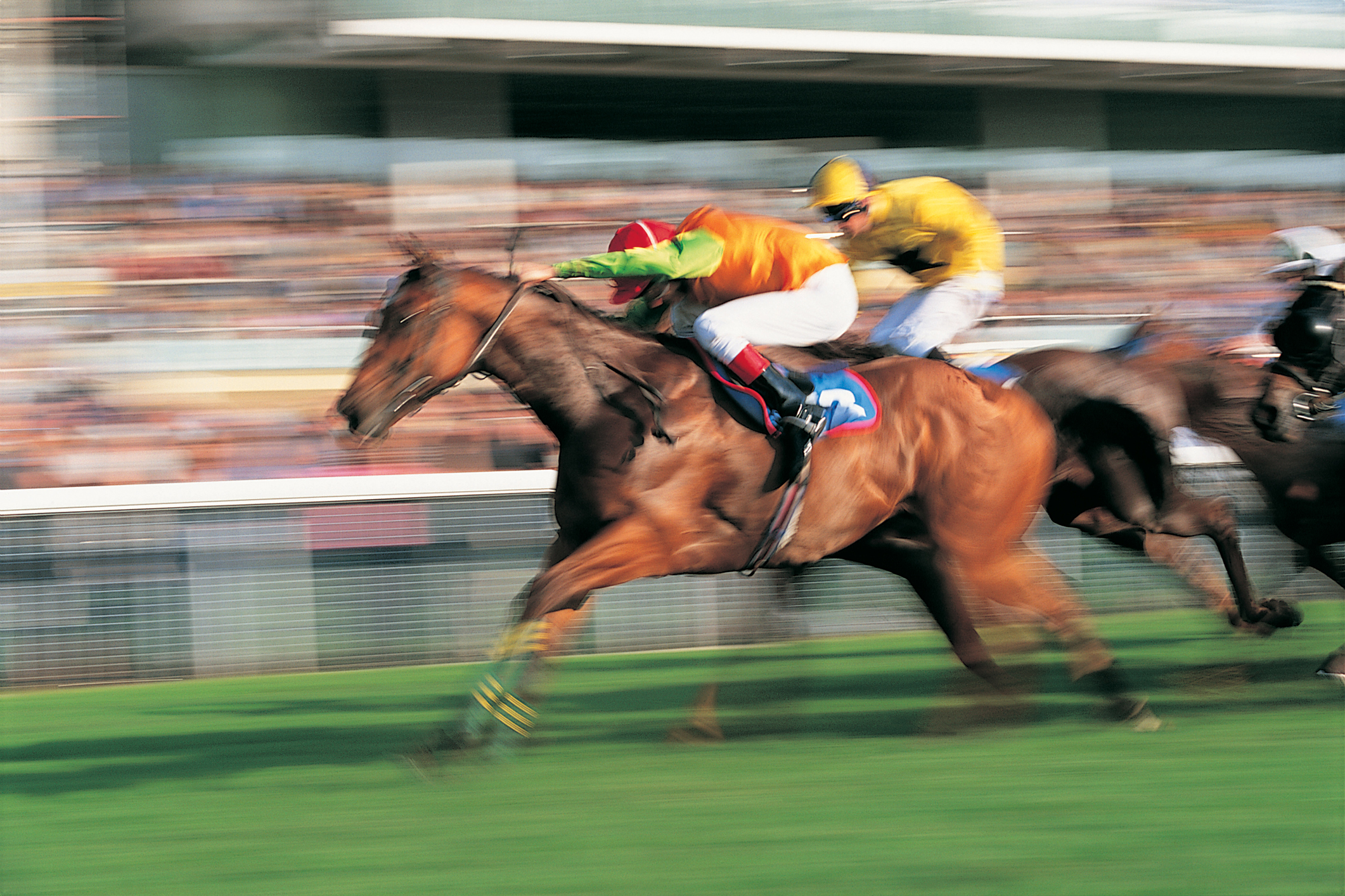 A picture of a horse race in motion.