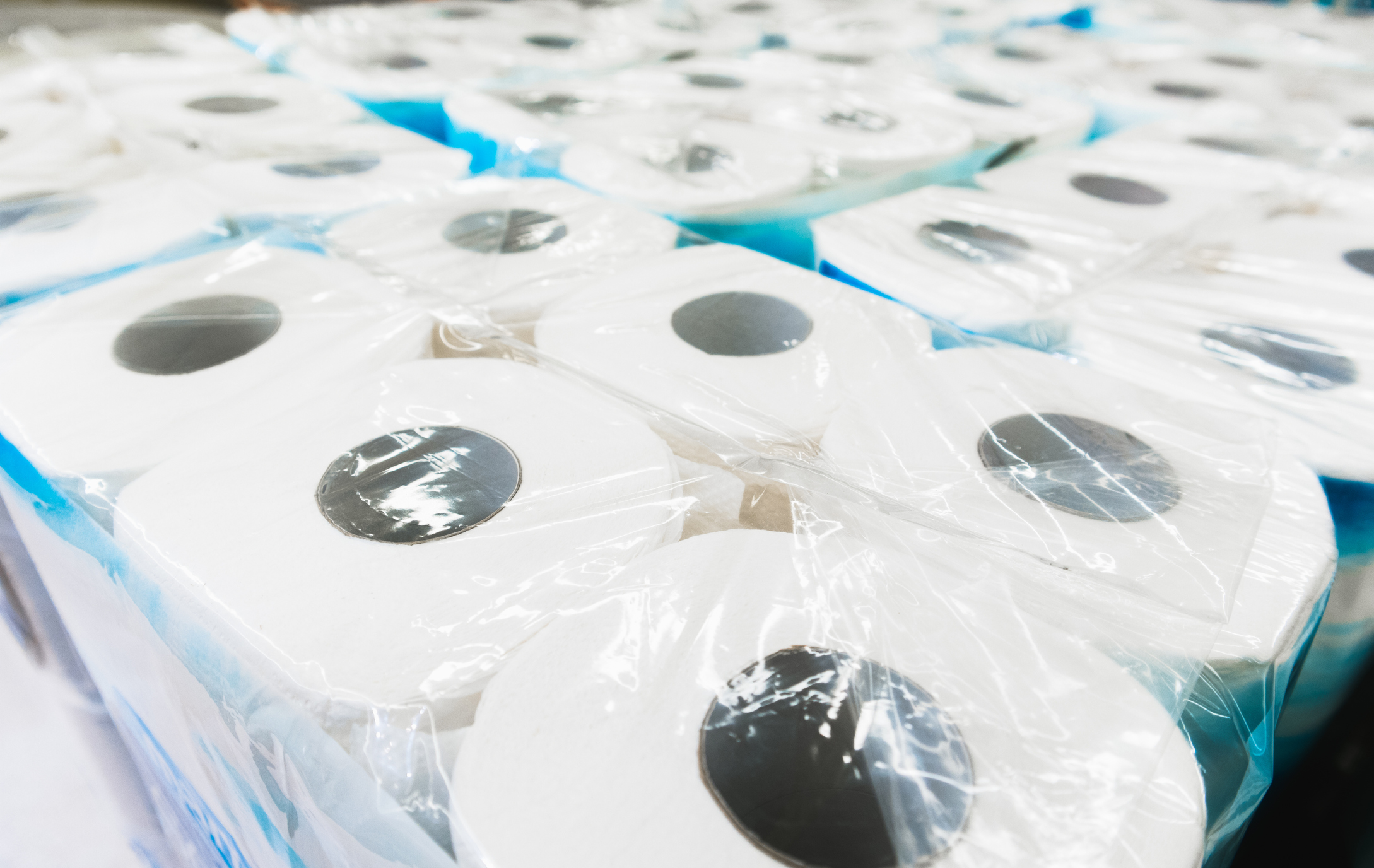 toilet paper in packaging