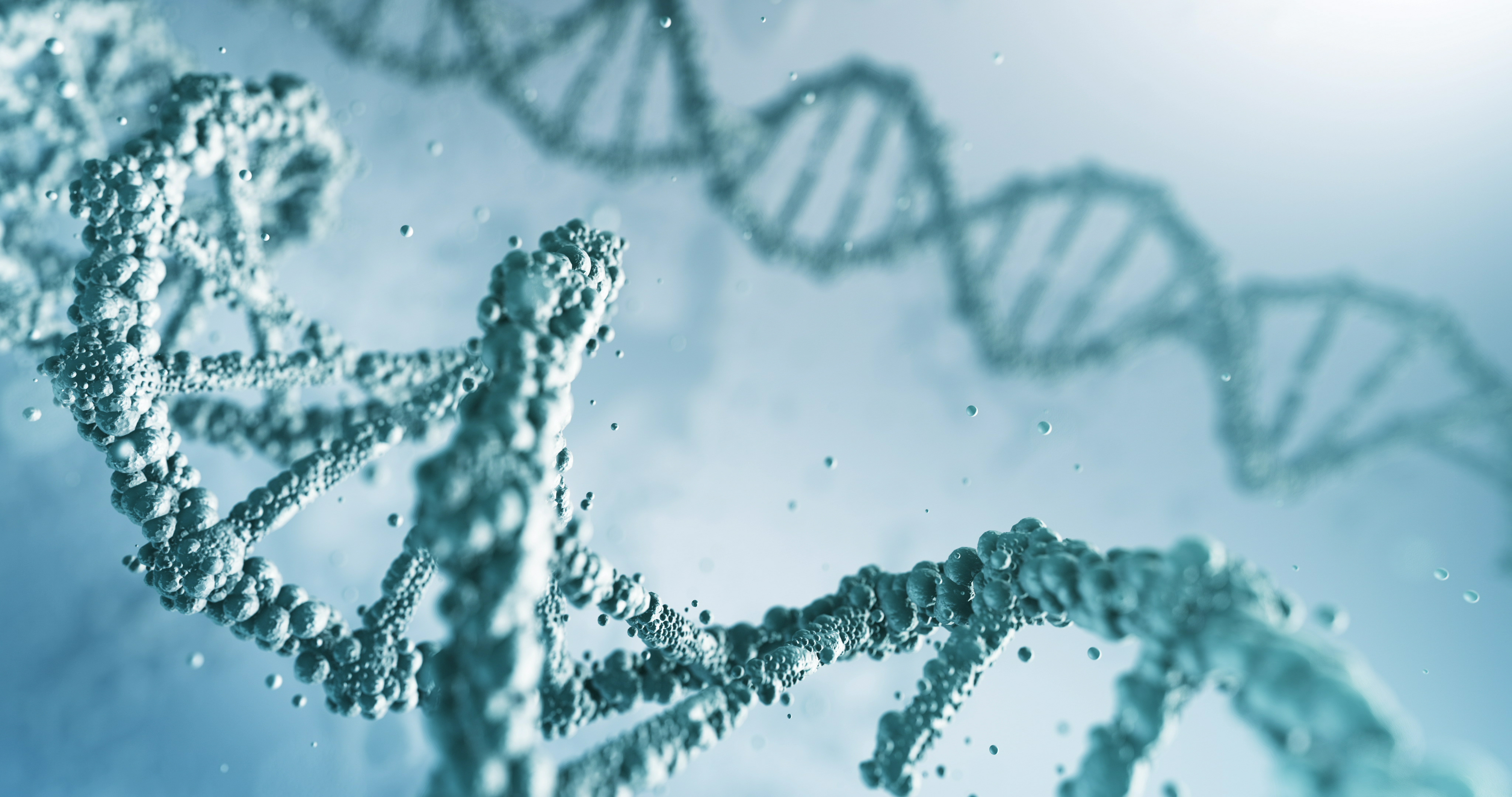 A close-up picture of two DNA strands.
