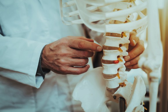 A doctor pointing towards a model of a spine.