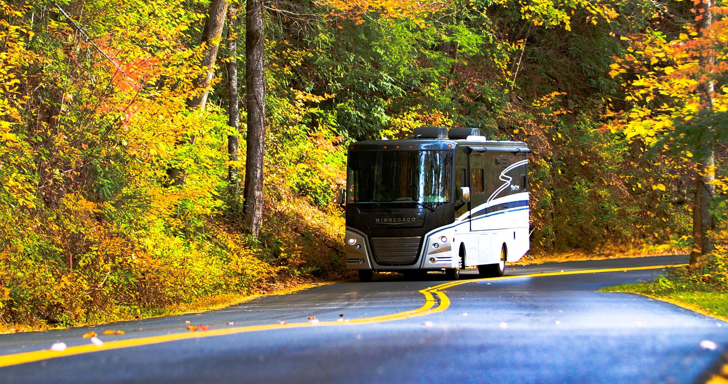 Winnebago Adventurer RV on a forest road.