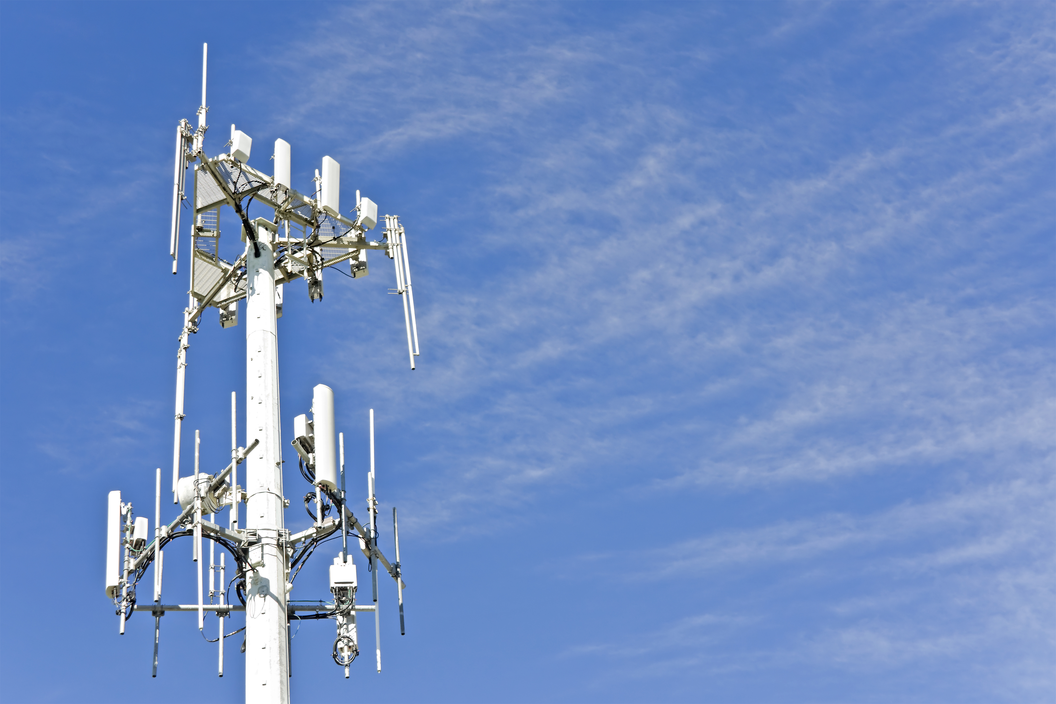 cell phone antenna