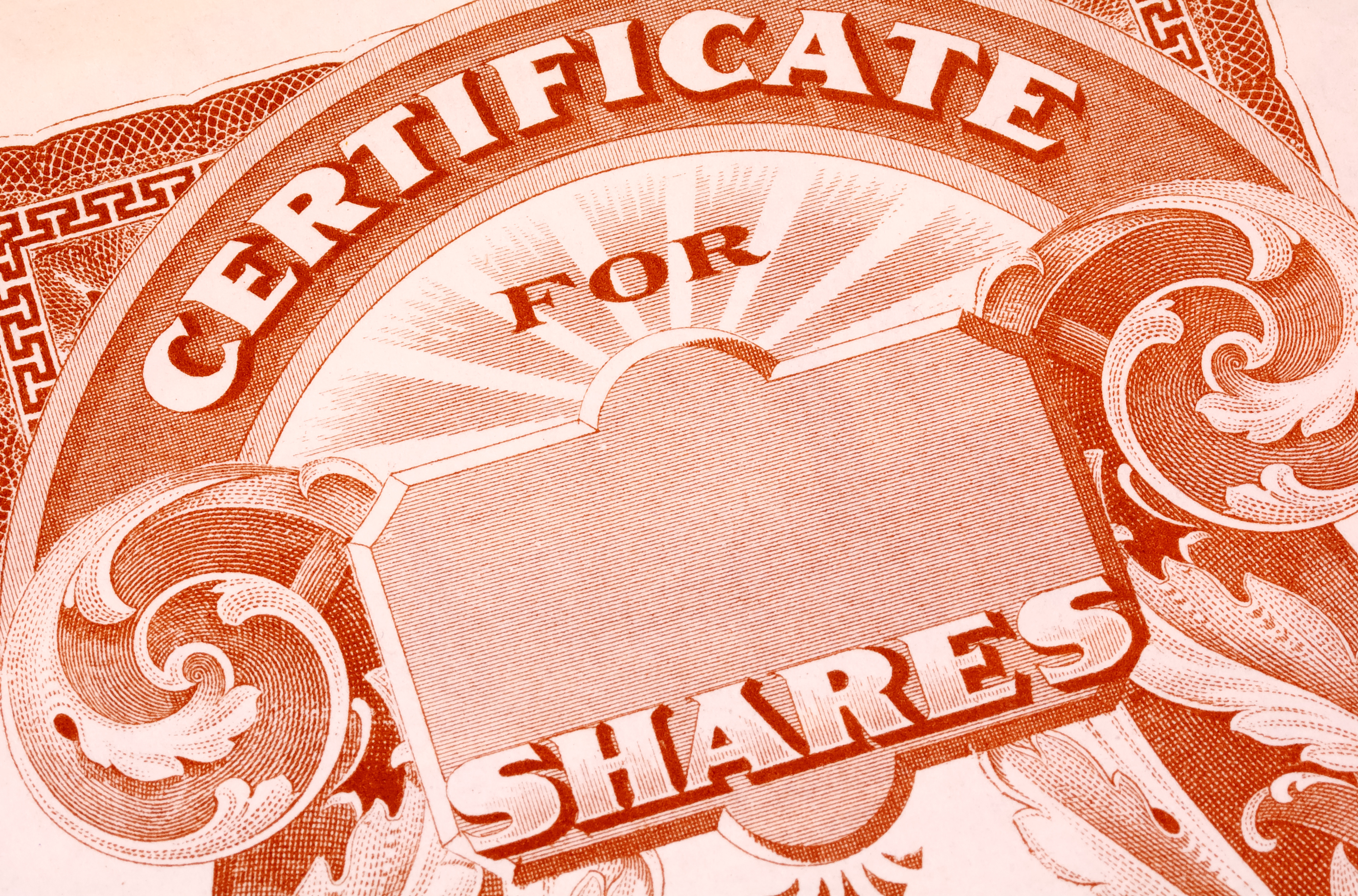 A paper certificate for shares of a public company.