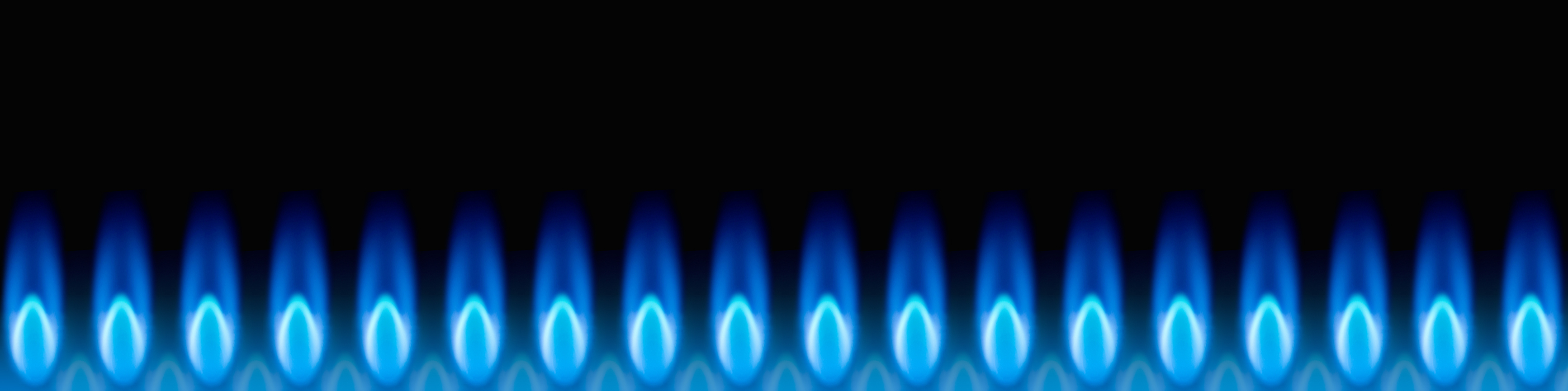 Row of blue natural gas flames burning