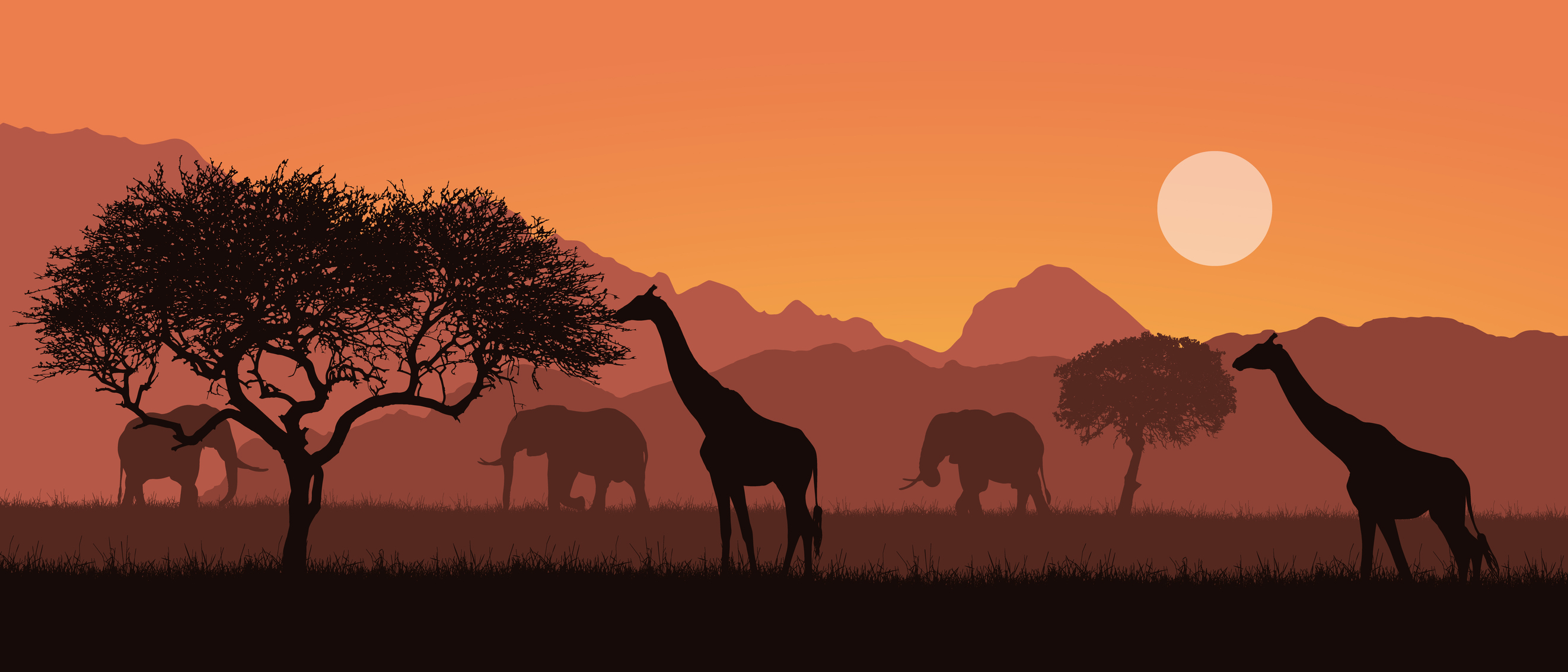 Safari landscape with elephants and giraffes silhouetted