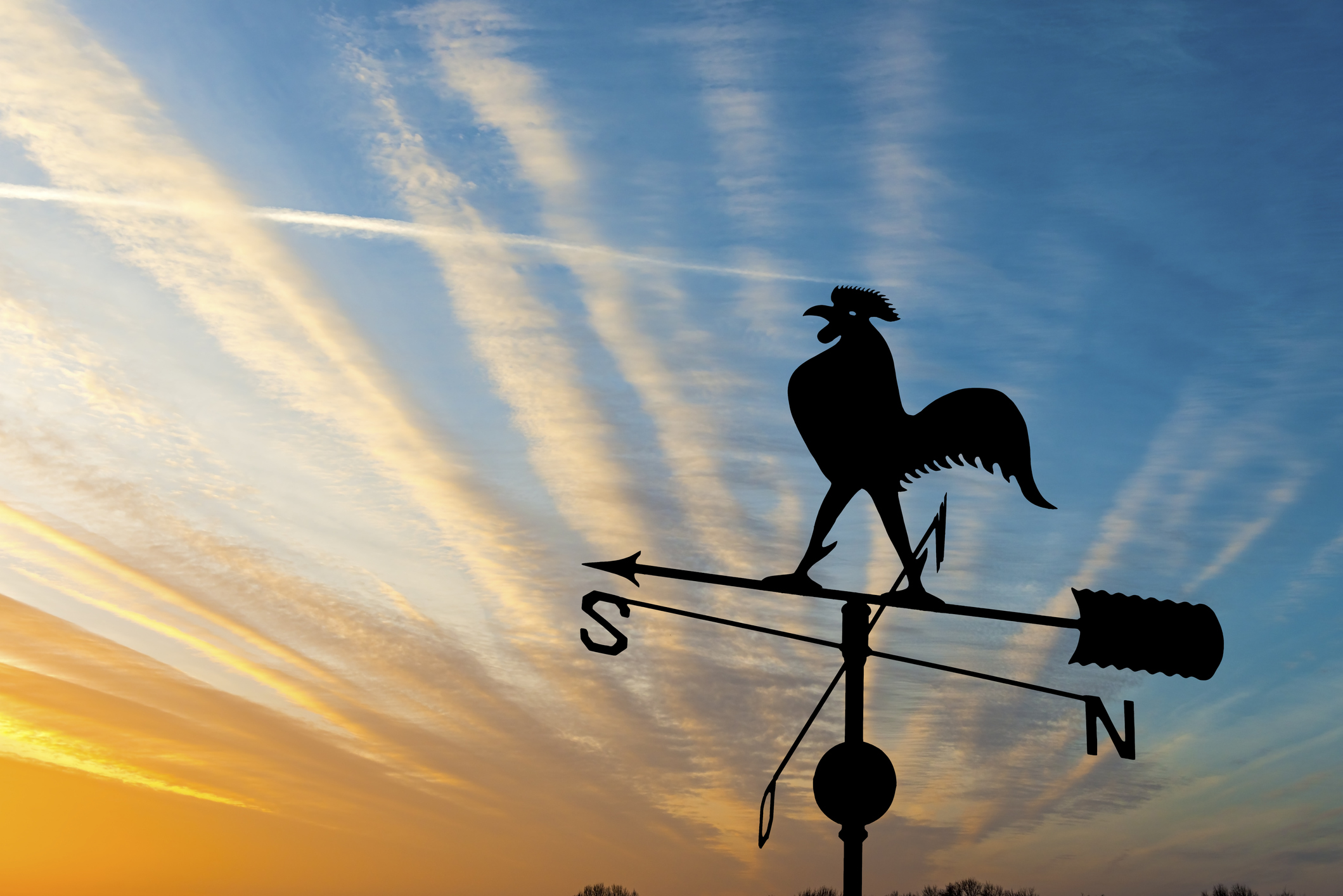 Weather vane