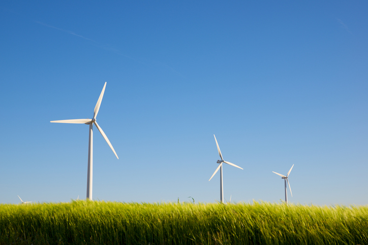 Wind turbines in a field of tall grasses.