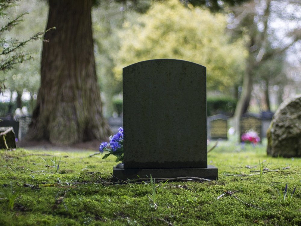 Stock Market Wrap-Up: This Left-for-Dead Sector Is Back on the Upswing