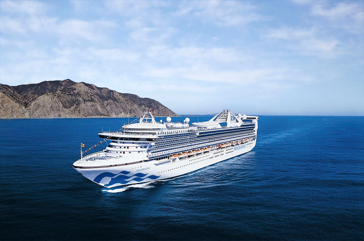 A cruise ship on open water.