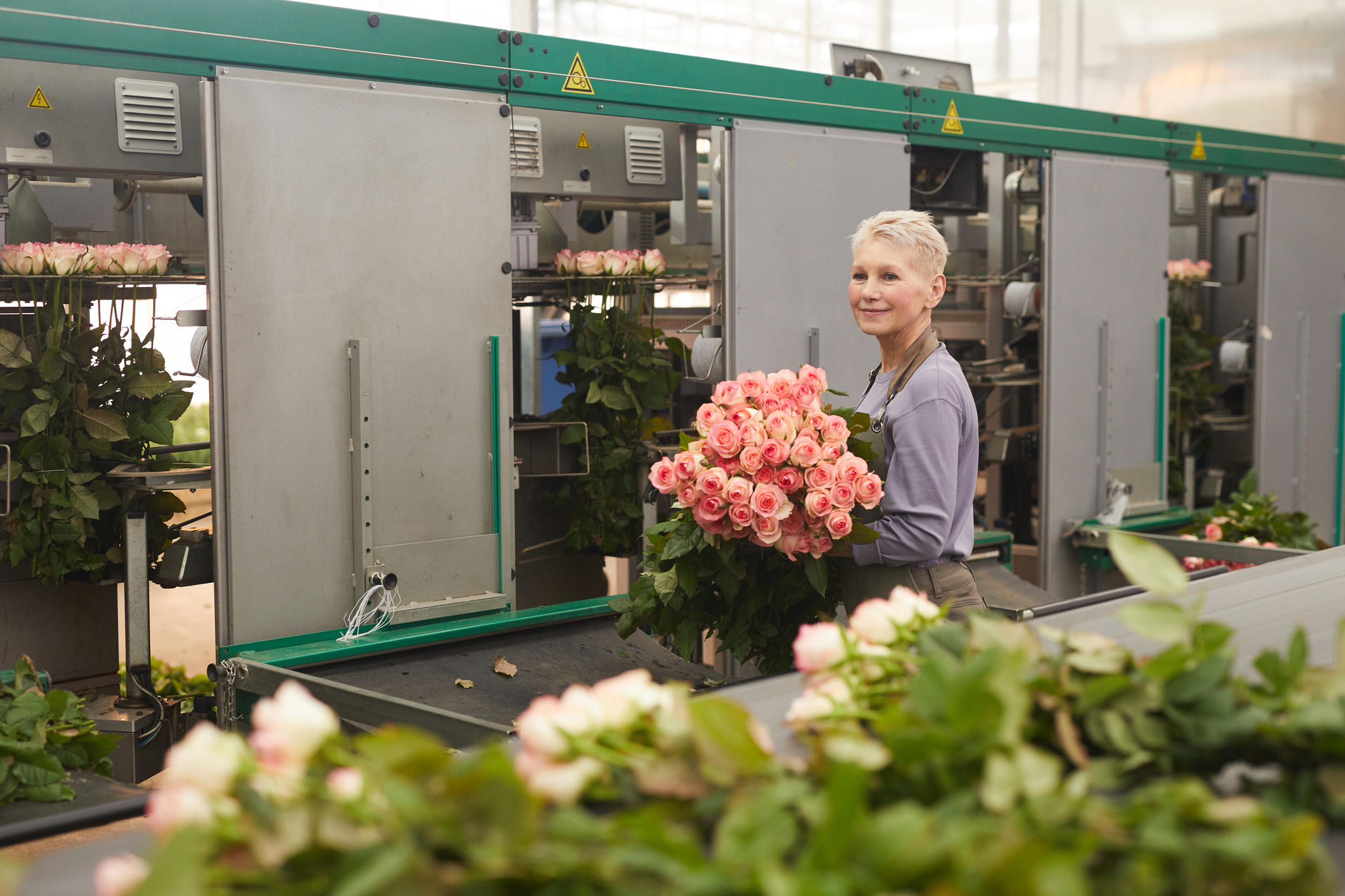 Older woman standing in greenhouse