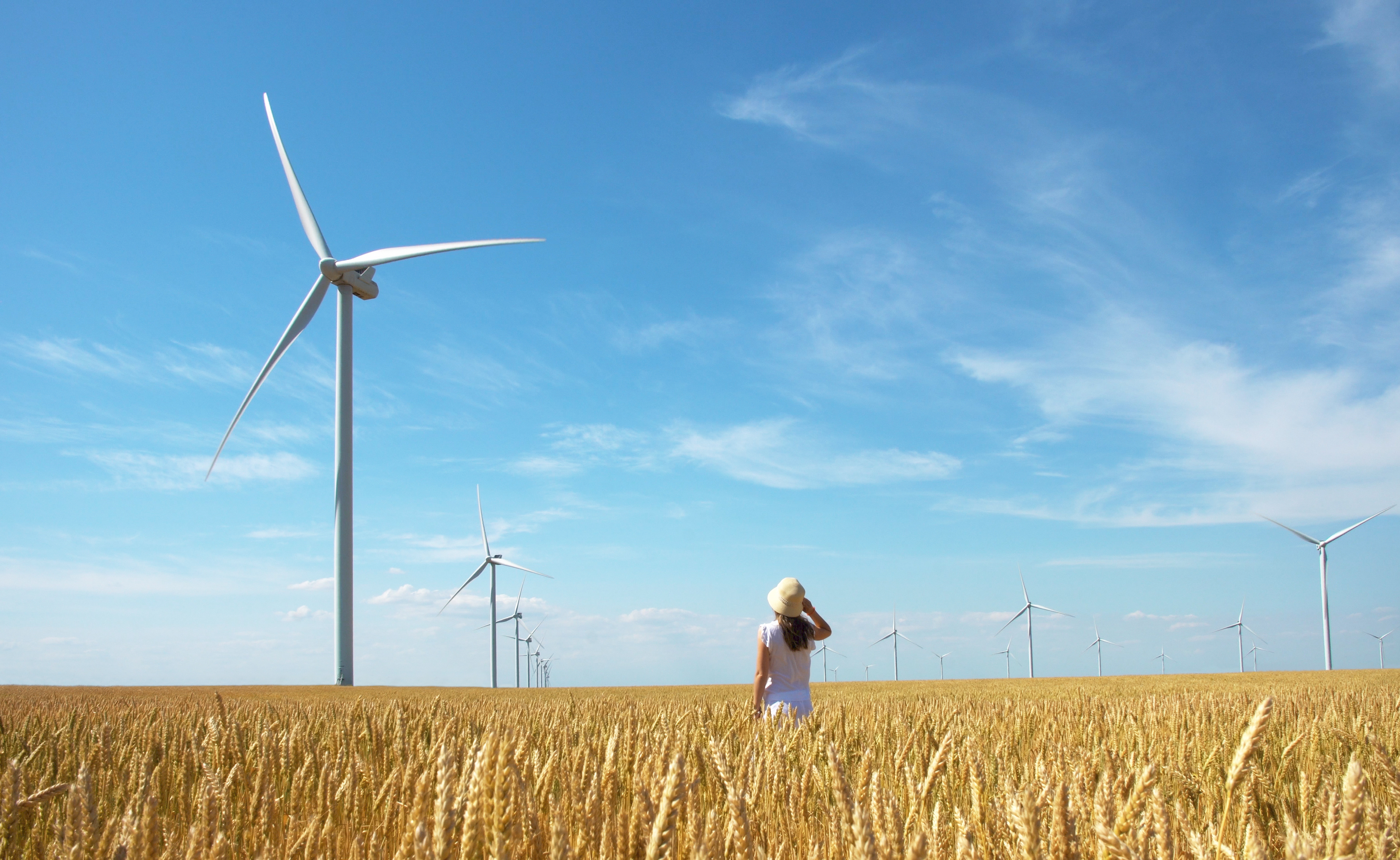 Onshore wind turbines.