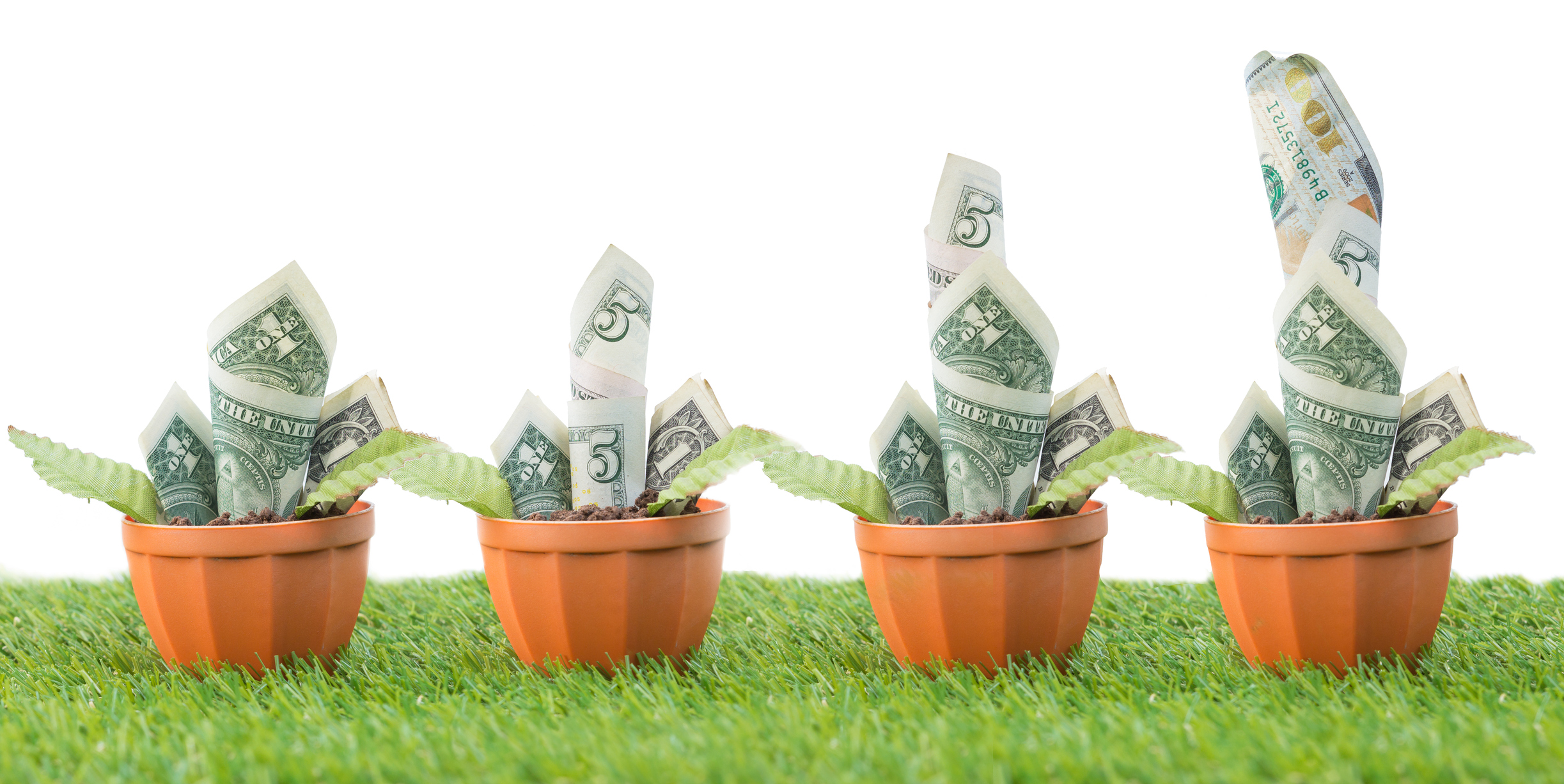 Four pots with progressively larger money-based plants growing out of them.