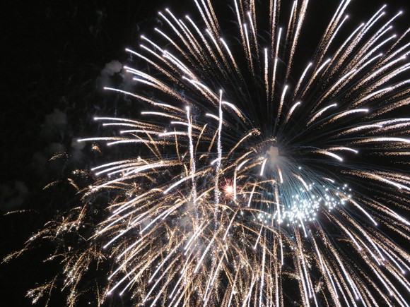 Fireworks in the night sky at Disneyland.
