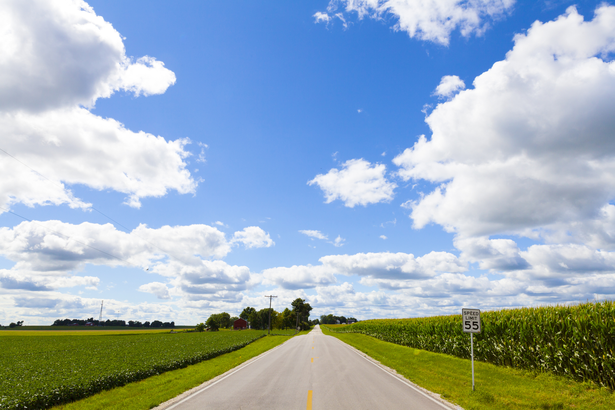 A rural, country road goes through a farm area growing corn.
