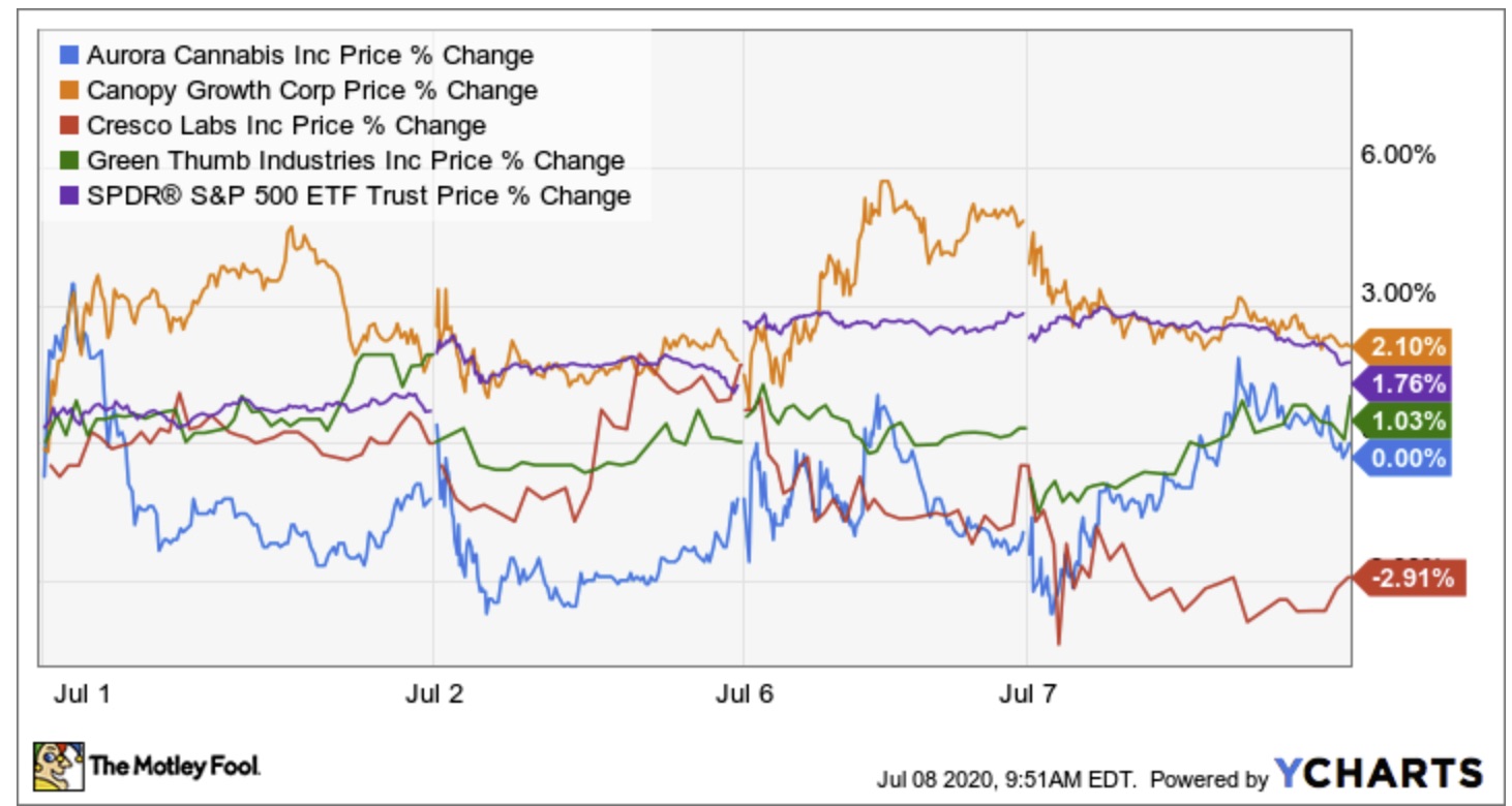 Cannabis companies' stock prices in July