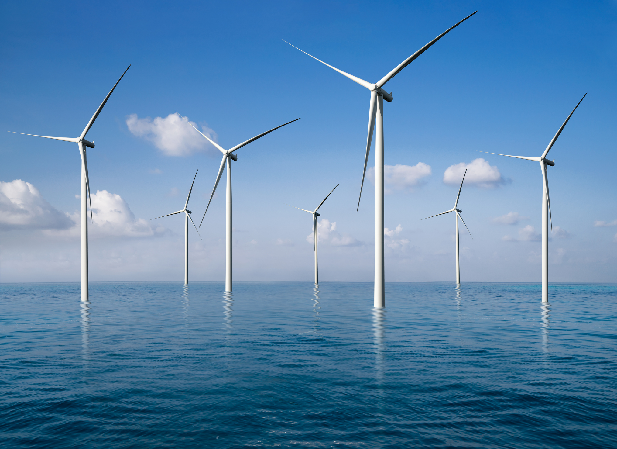 An offshore wind farm