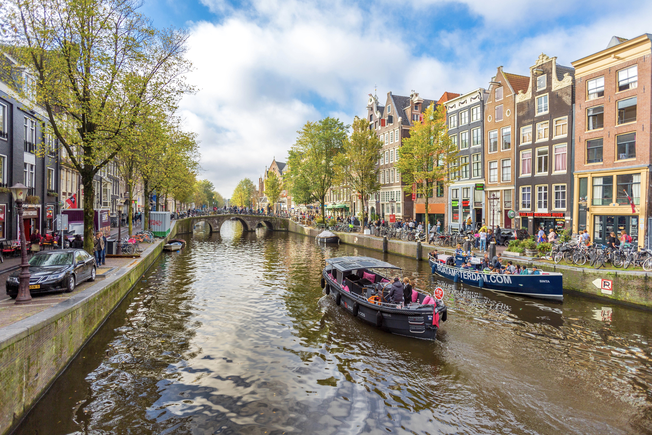 Village Farms International Buys a Stake in DutchCanGrow The Motley Fool