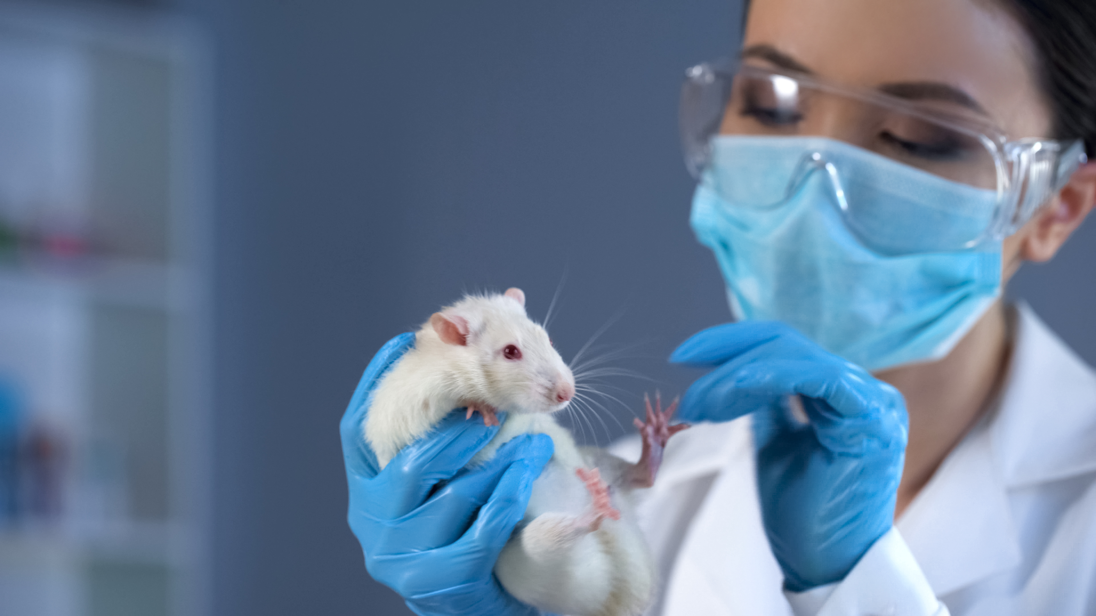 A scientist holds a mouse in her gloved hands.