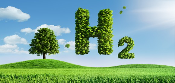 Composed of green leaves, the chemical symbol of hydrogen floats above a green field.