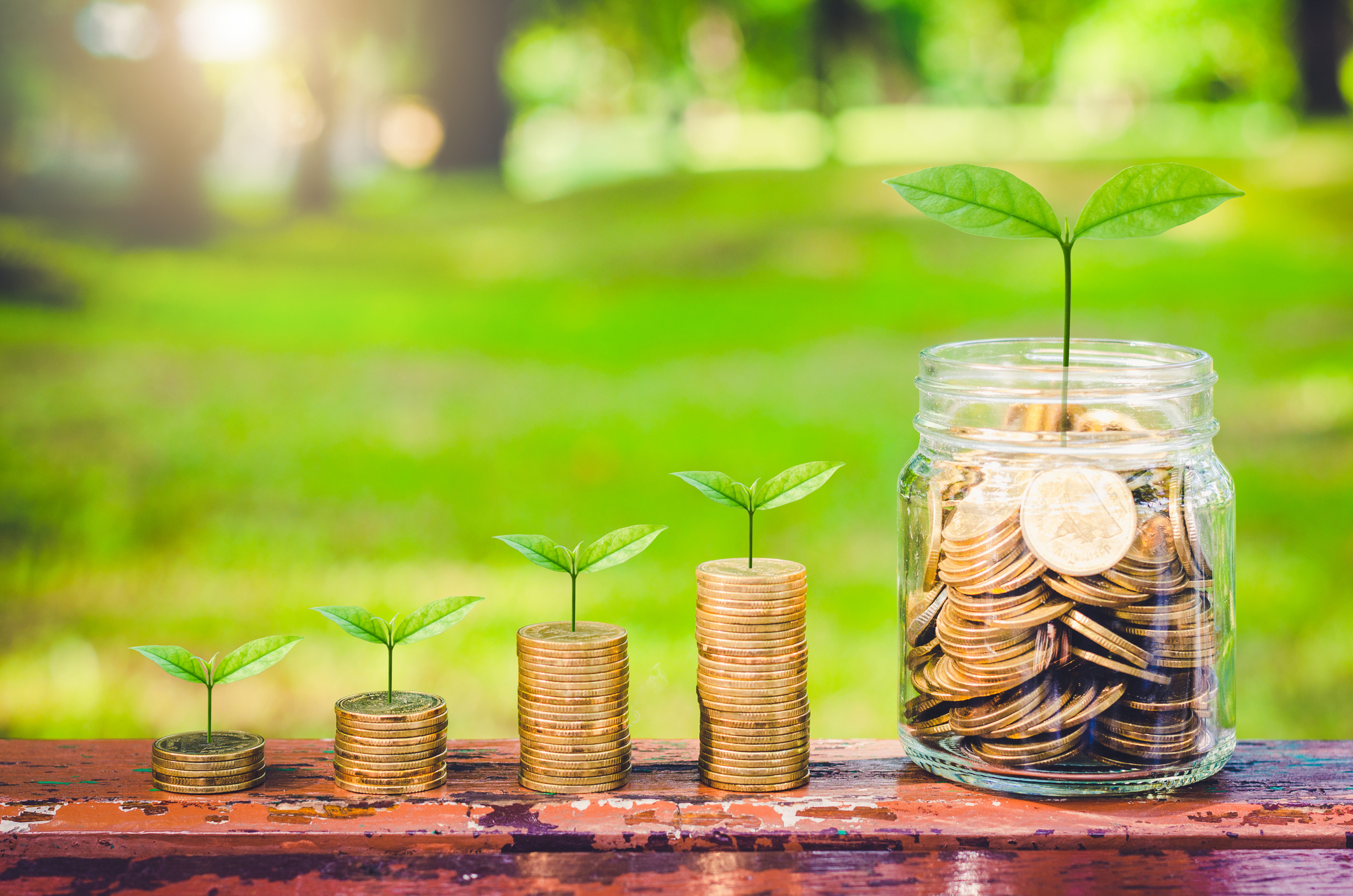 Progressively larger stacks of coins with leaves sprouting at hte top of each column