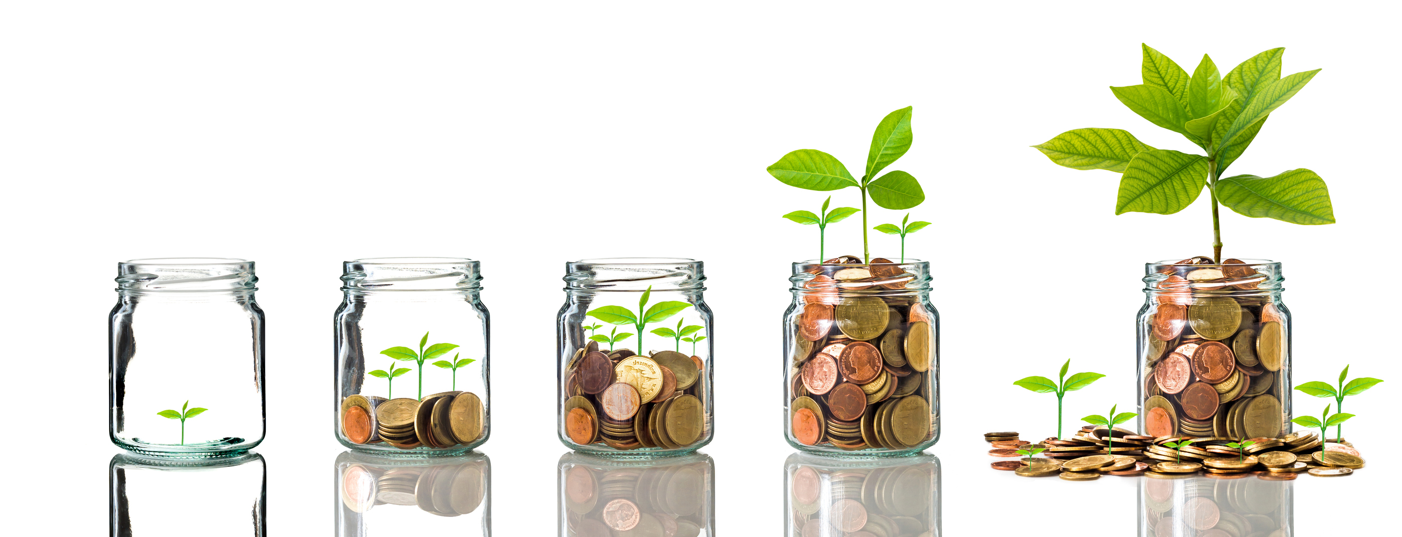 Plants growing in increasingly full jars of coins.