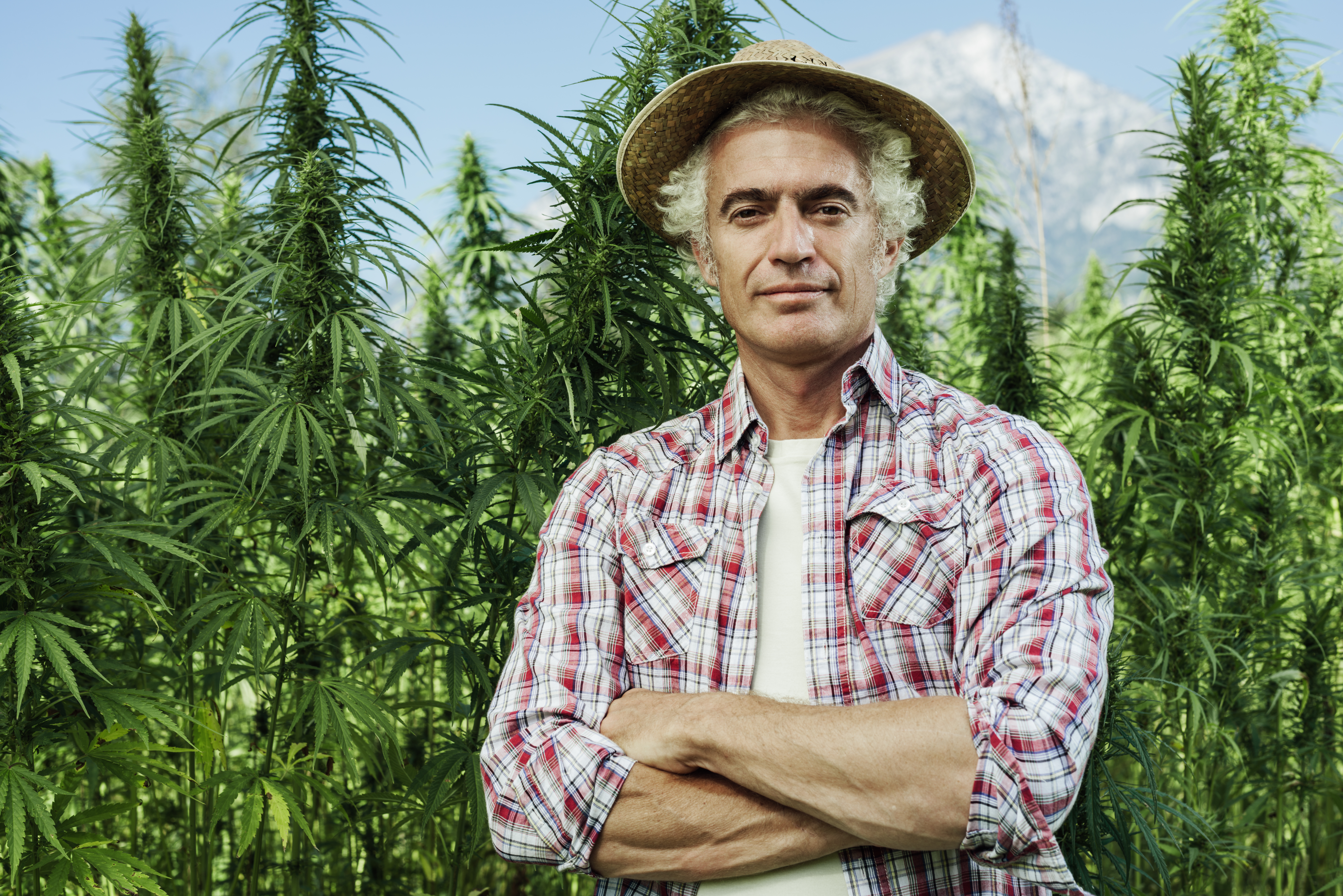 Farmer posing with arms crossed in his hemp field and smiling at camera.