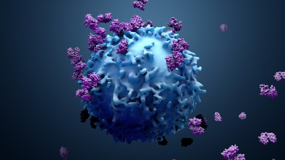Antibodies surrounding a coronavirus.