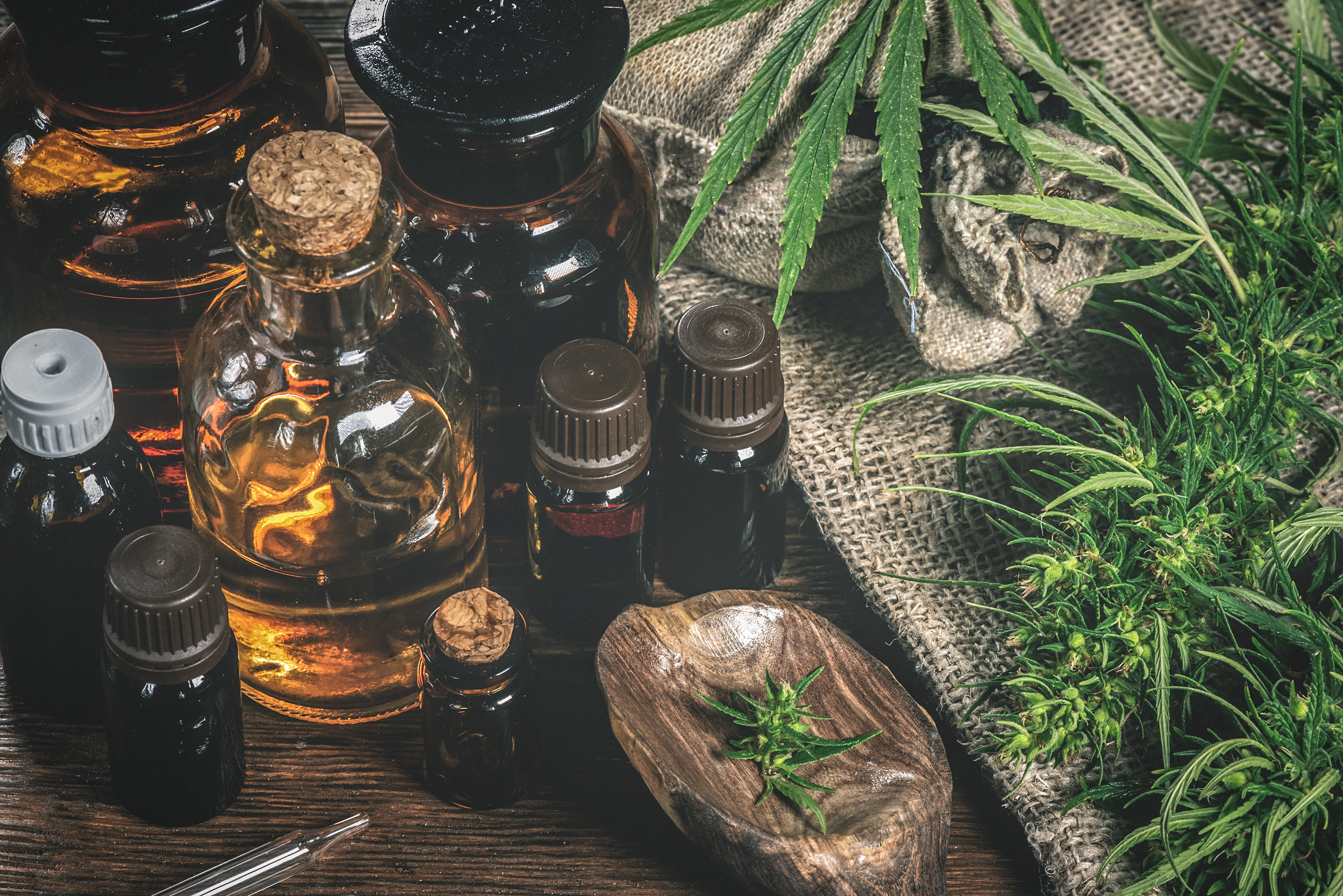 Why Canopy Growth Stock Fell 12.1% in August