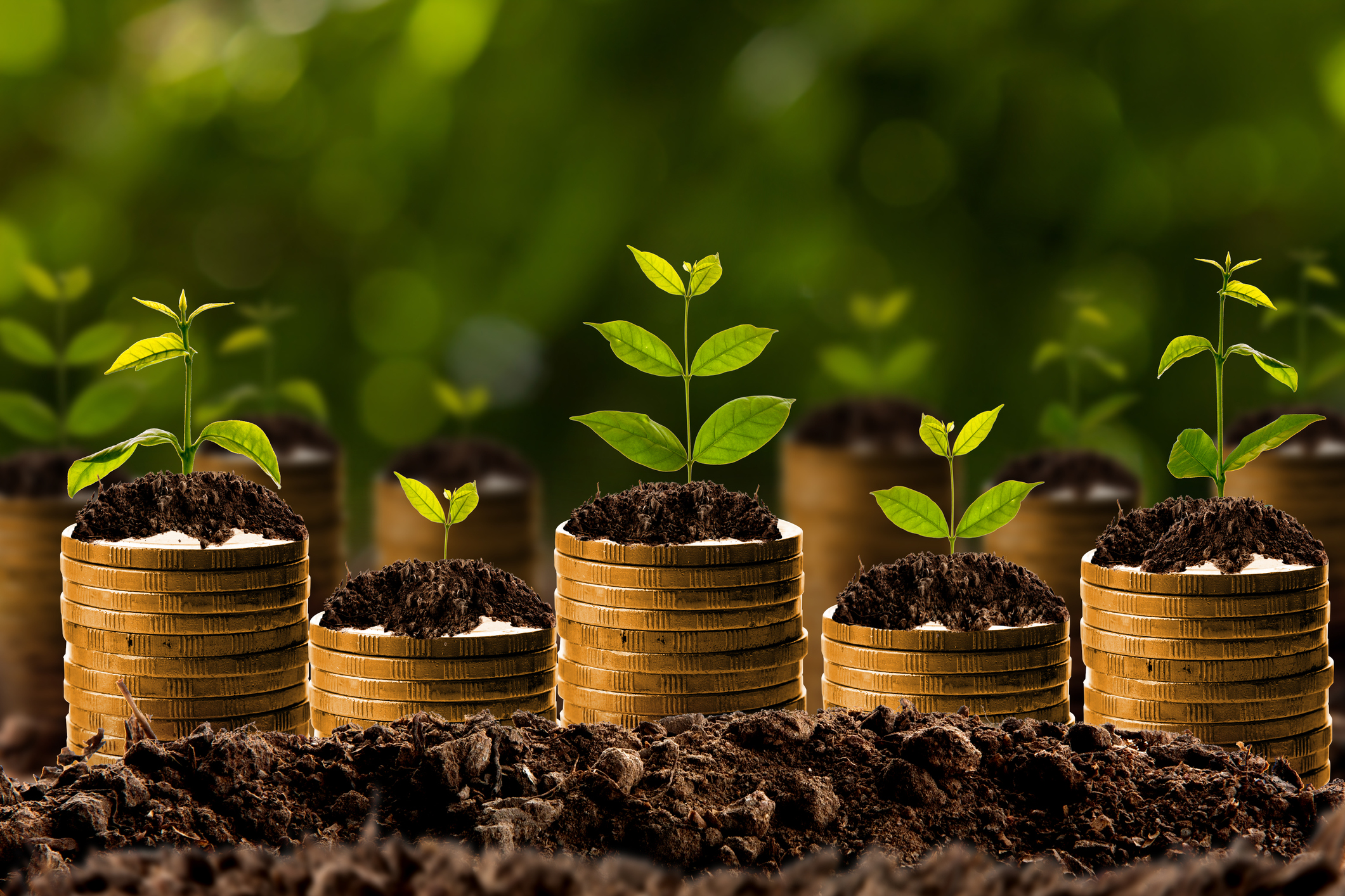 Three Traits To Look for In A Starter Stock (and One to Avoid)