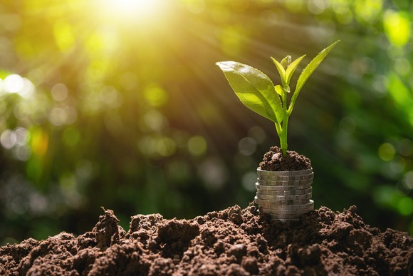 Stack of coins in dirt with a plant growing out of it. 