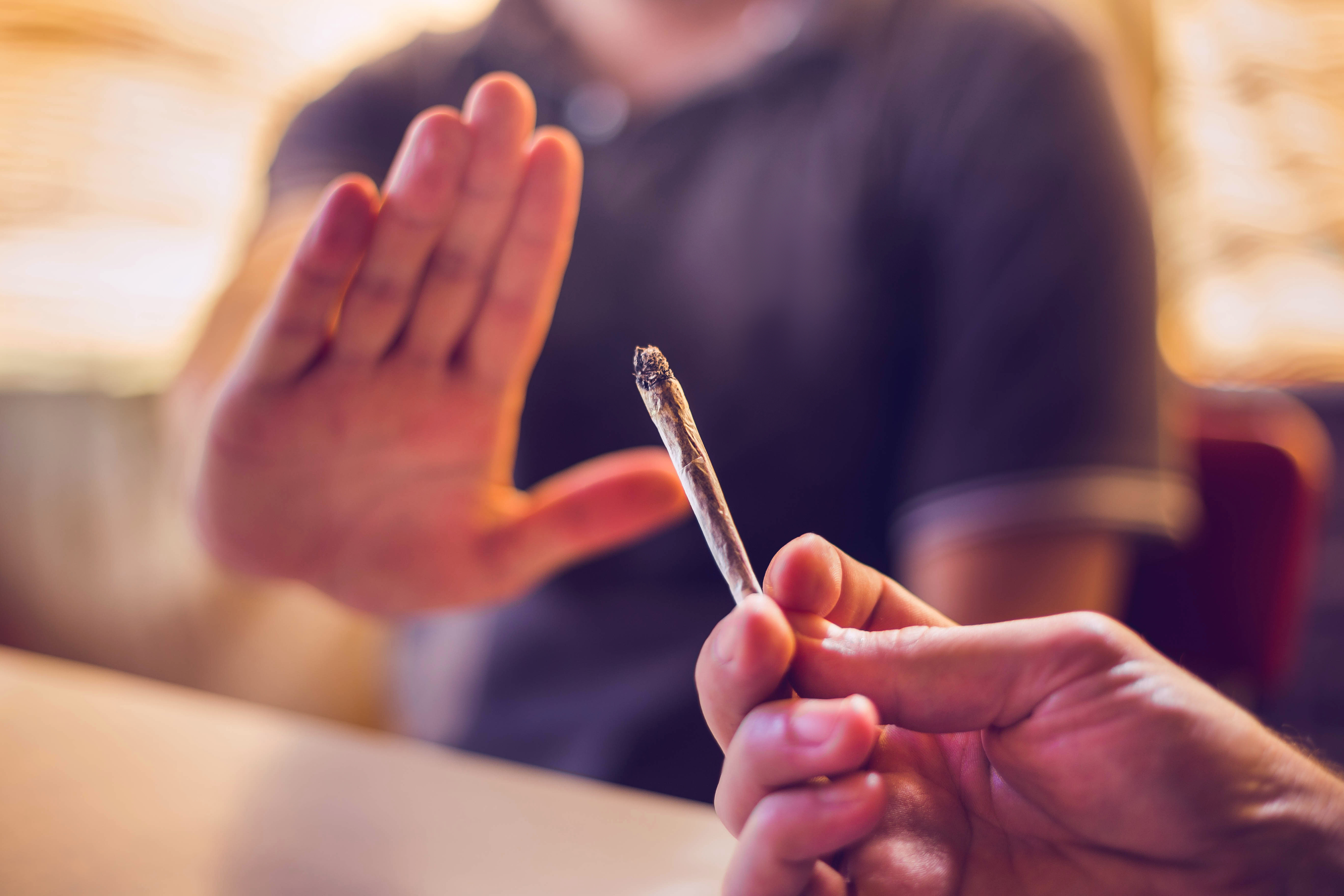 The Top Marijuana Stock to Avoid In a Market Crash