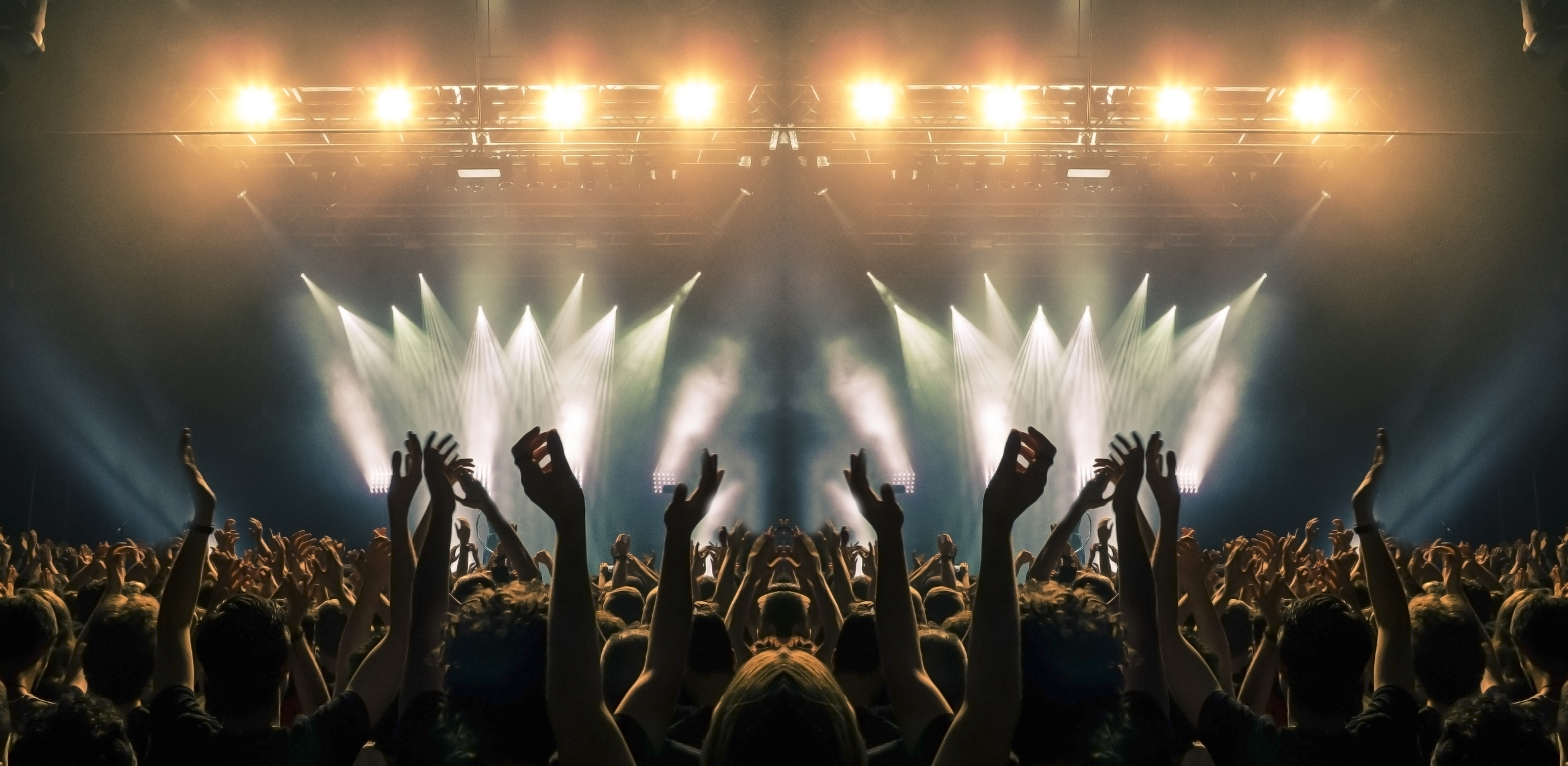 Enthusiastic fans raising hands at a concert.