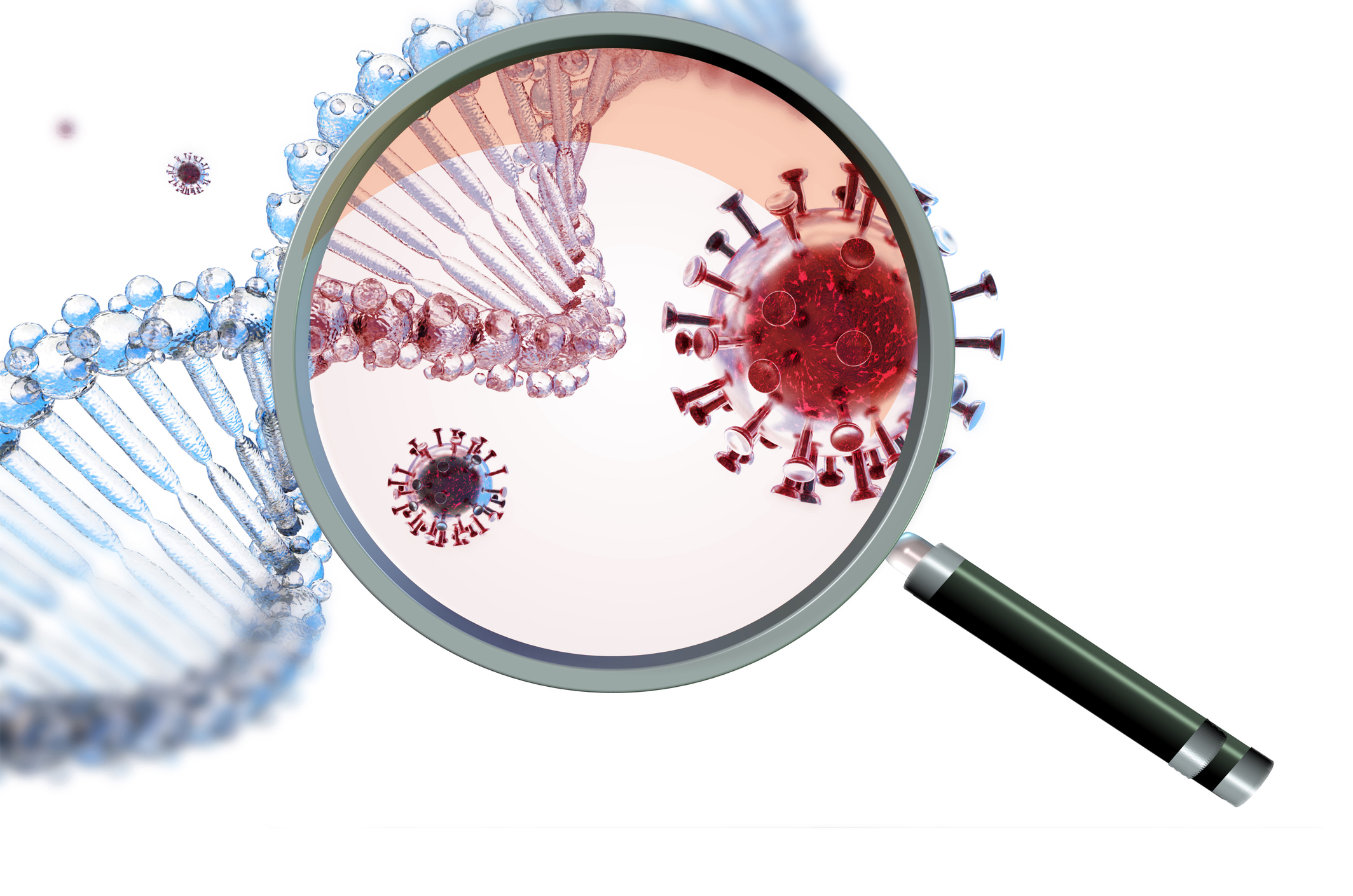 Magnifying glass over coronavirus and DNA double helix