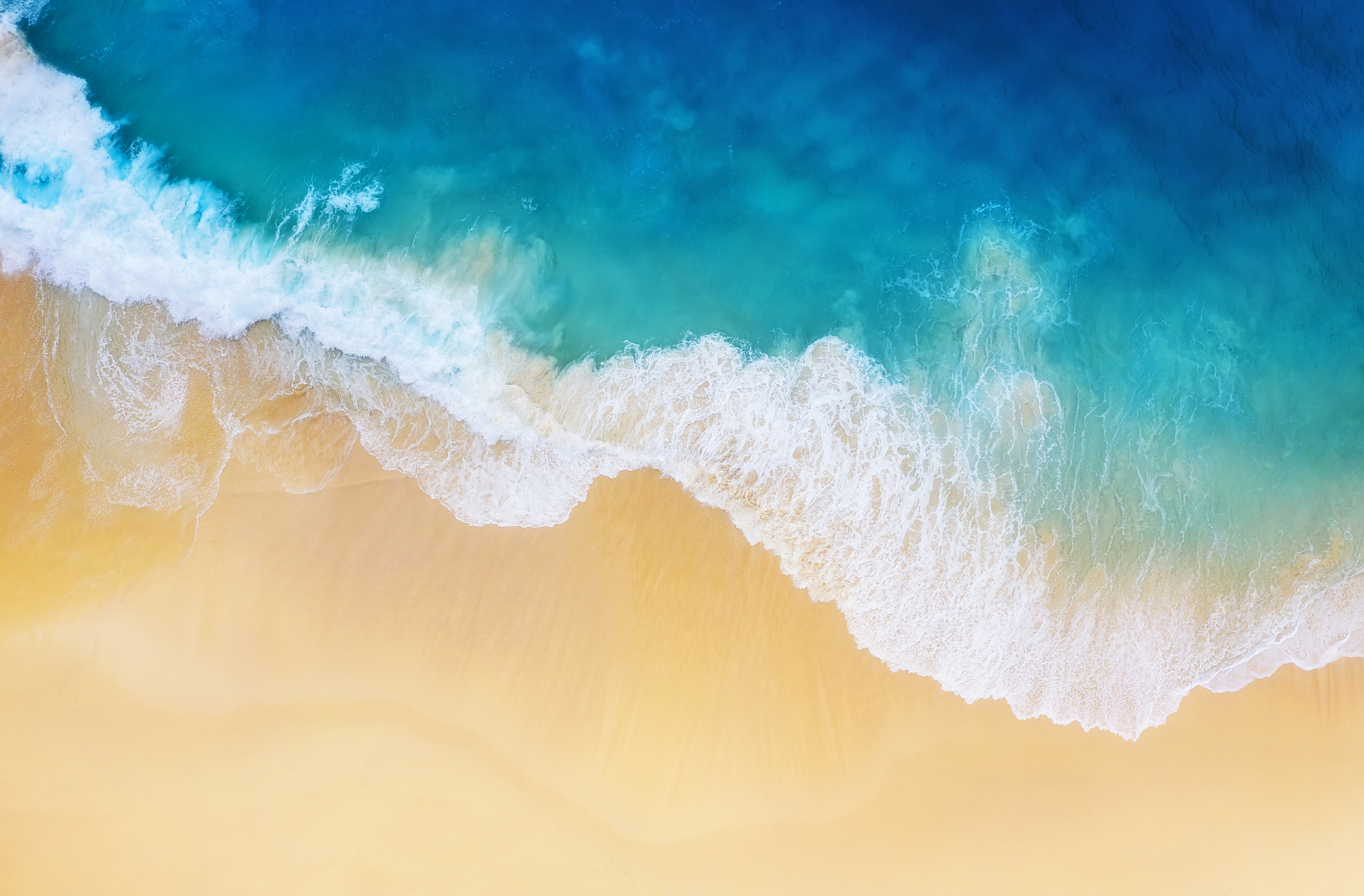 Aerial view of ocean and shoreline.