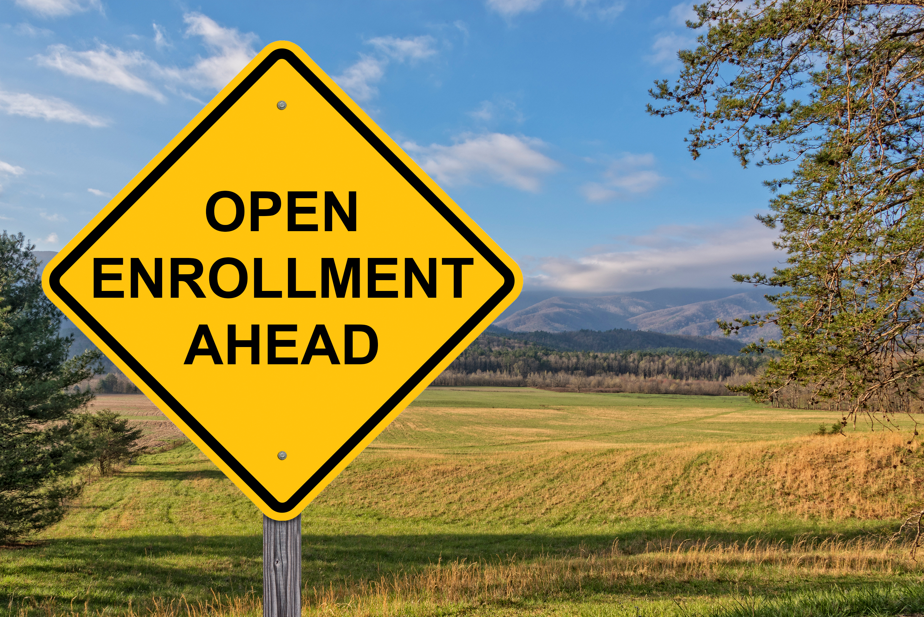 Diamond-shaped road sign in field saying open enrollment ahead