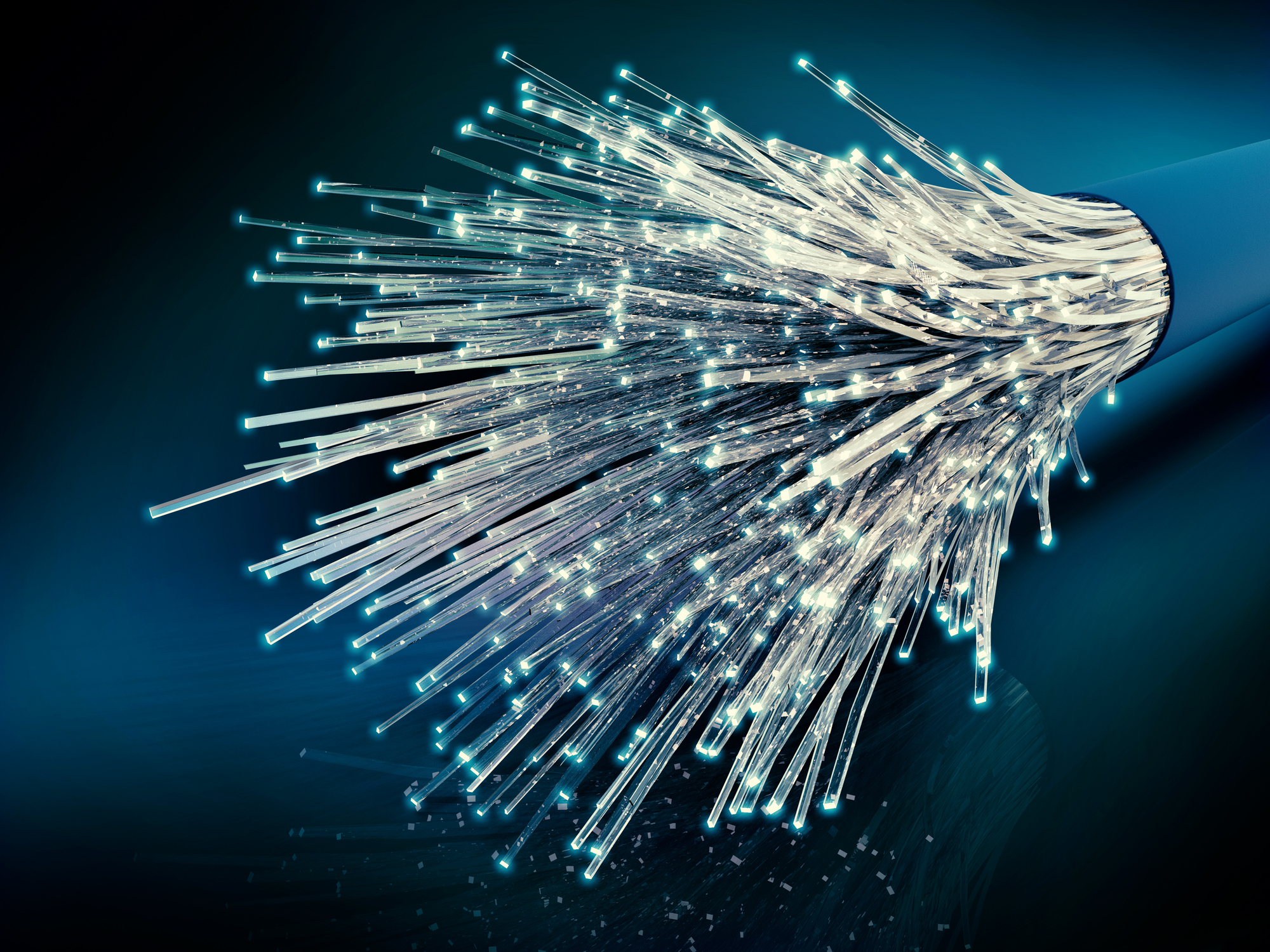 Optical networking cable